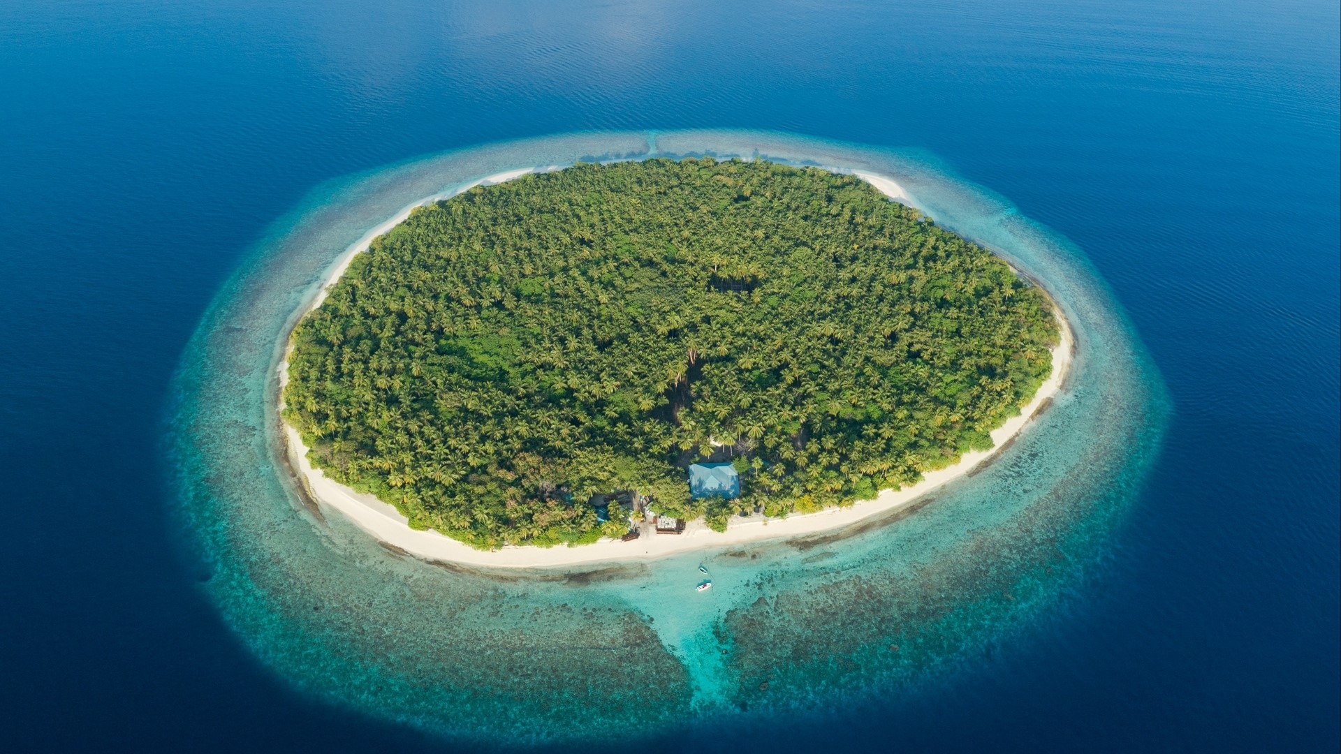 Aerial view of a tropical island in the Maldives HD Wallpaper