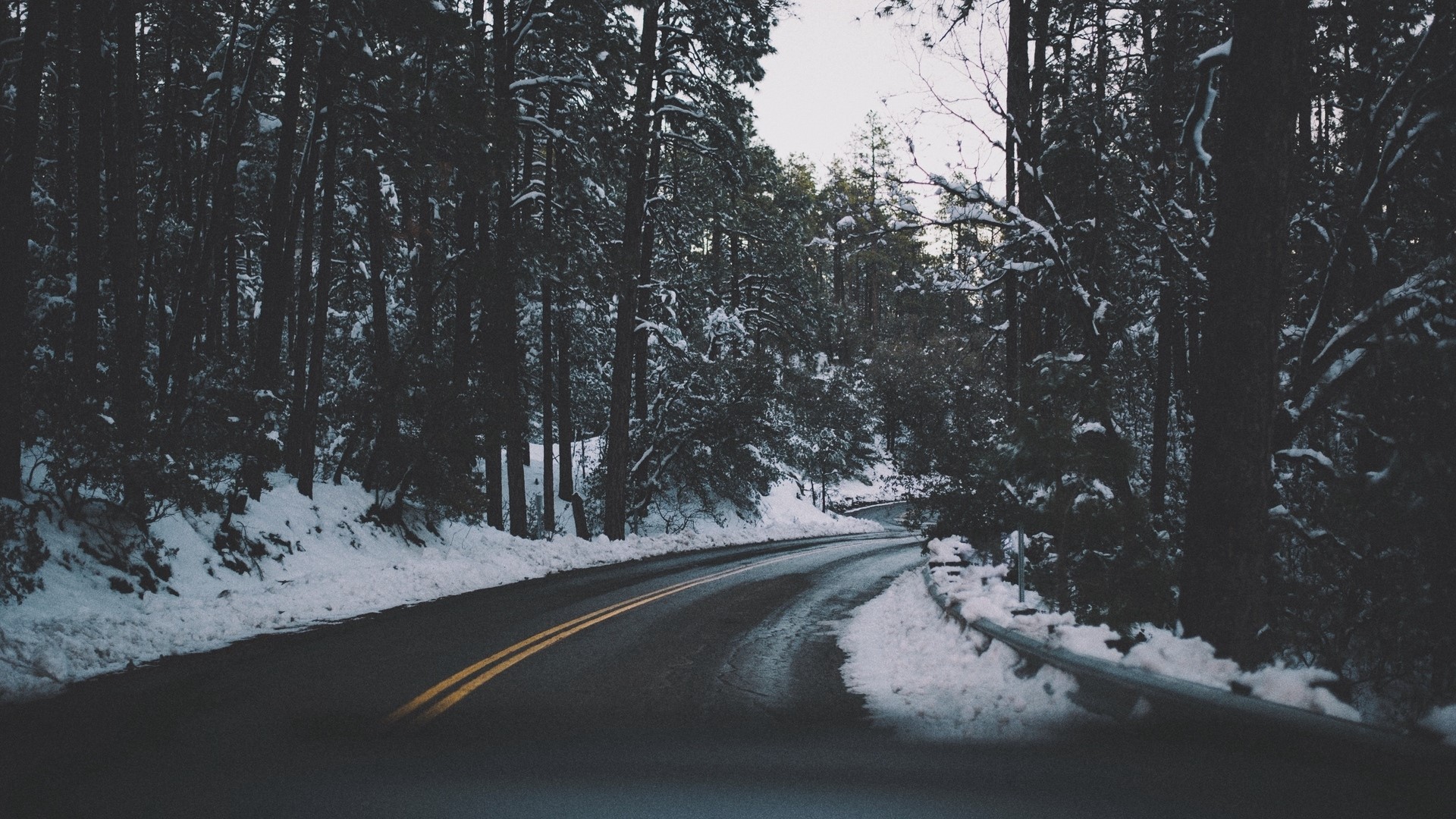 Winding road through a snowy forest HD Wallpaper