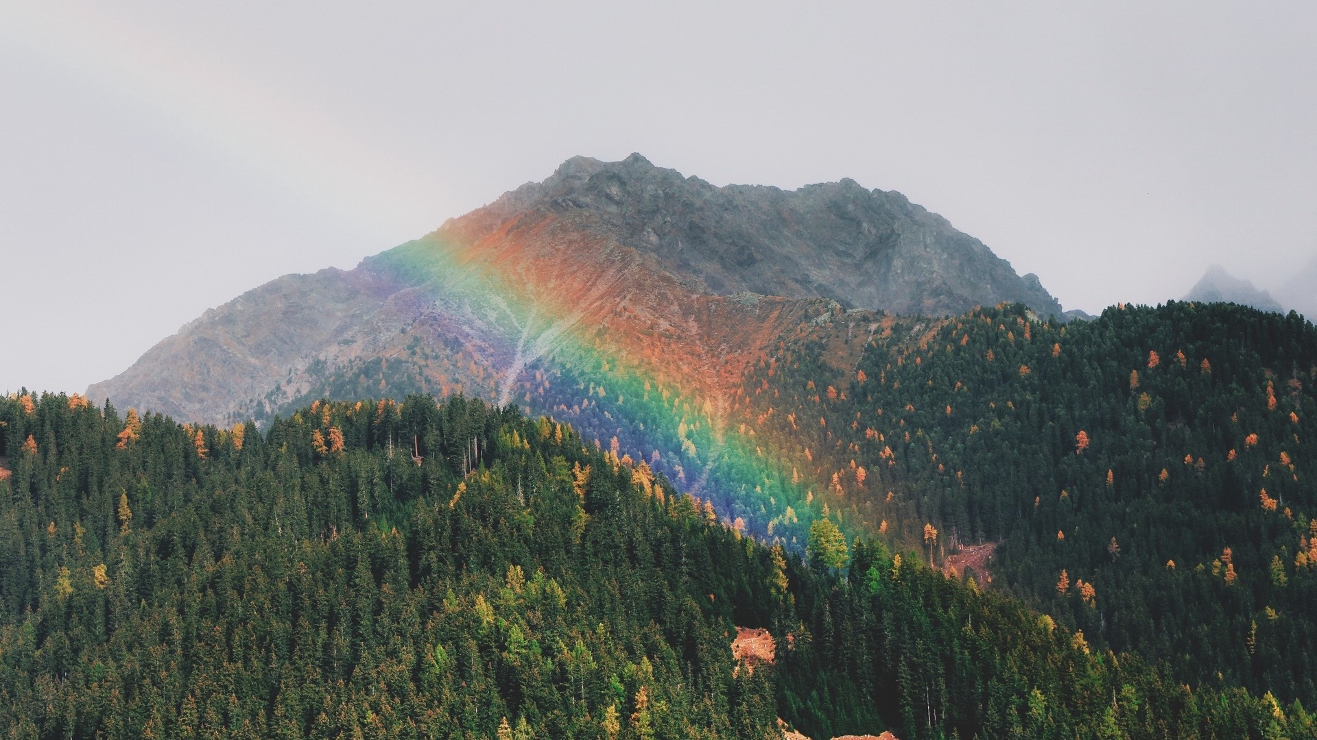 Rainbow over a forested mountain HD Wallpaper