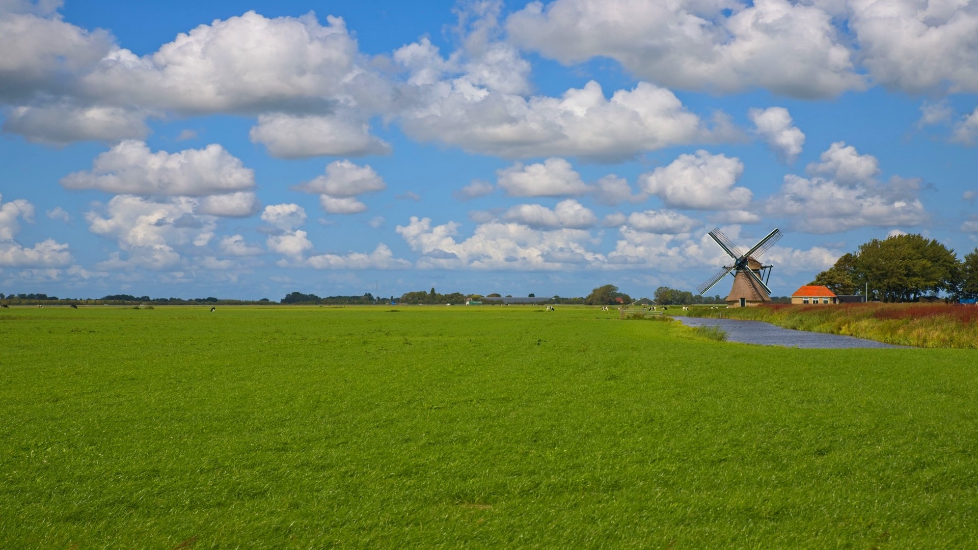 Windmill in a green field under a cloudy sky HD Wallpaper