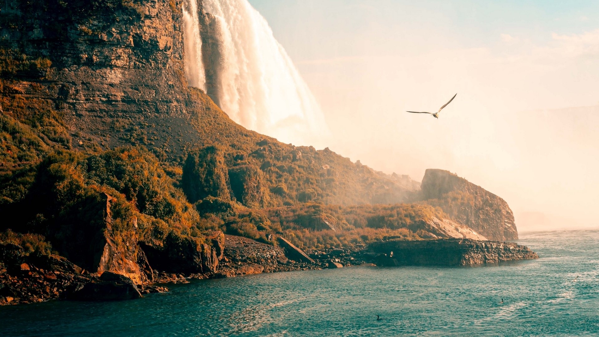 Waterfall cascading over a rocky cliff into the ocean with a bird flying HD Wallpaper