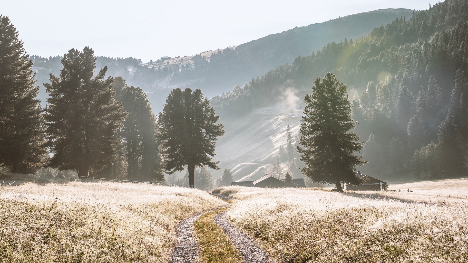 Dirt road through a frosty meadow with pine trees and mountains HD Wallpaper