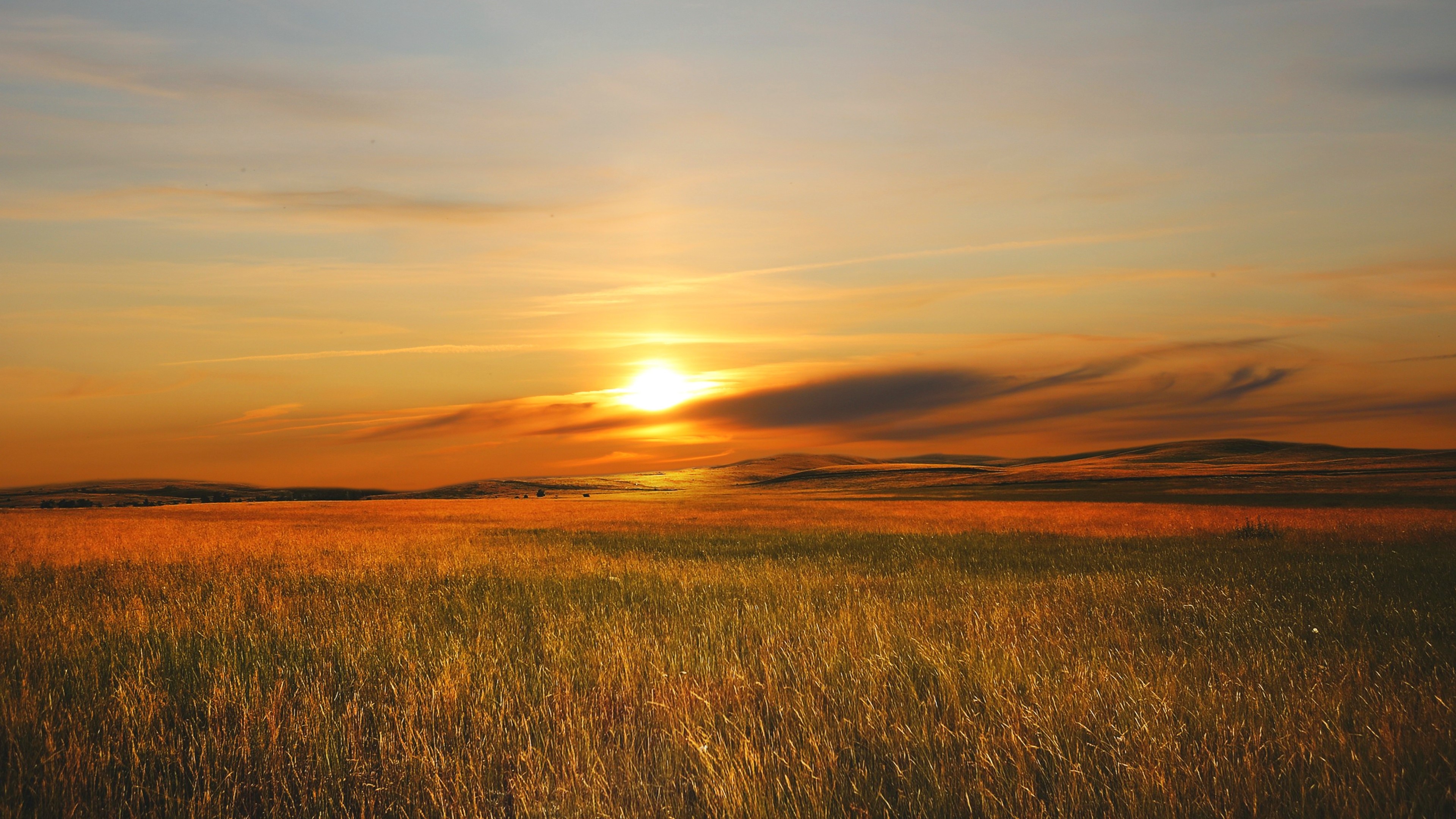 4K Sunset Over a Grassy Field HD Wallpaper