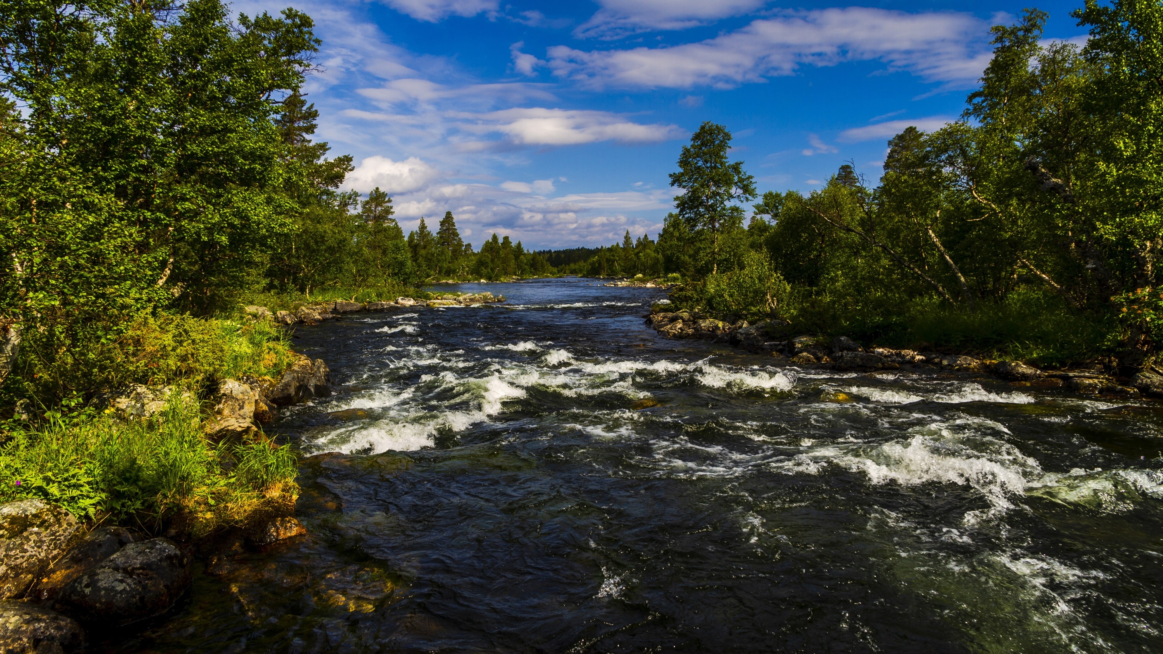 4K River with Trees and Blue Sky HD Wallpaper
