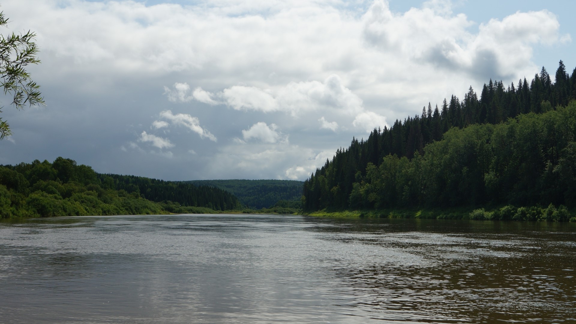 River flowing through a forest landscape HD Wallpaper