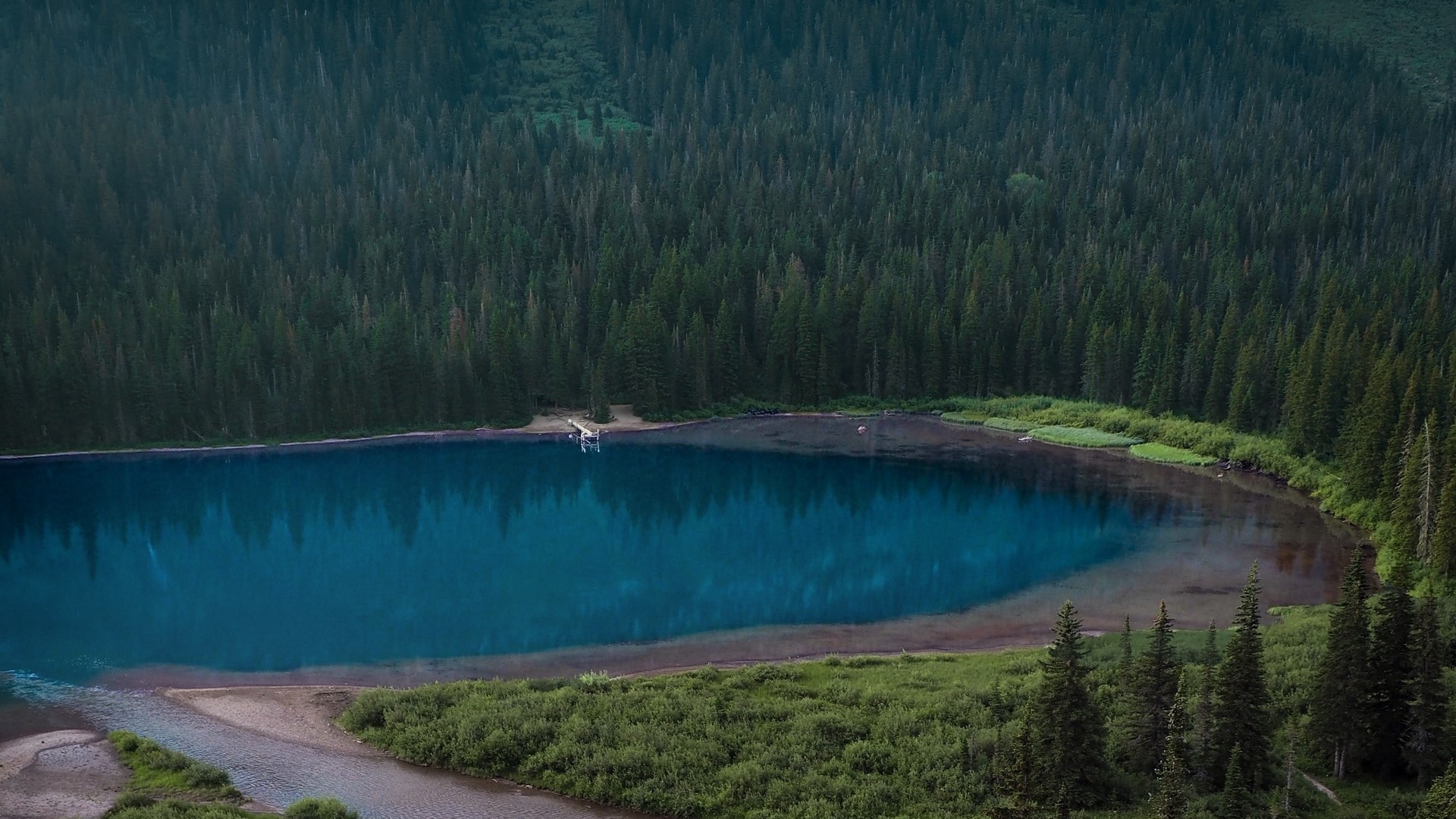 Blue lake surrounded by a dense forest HD Wallpaper