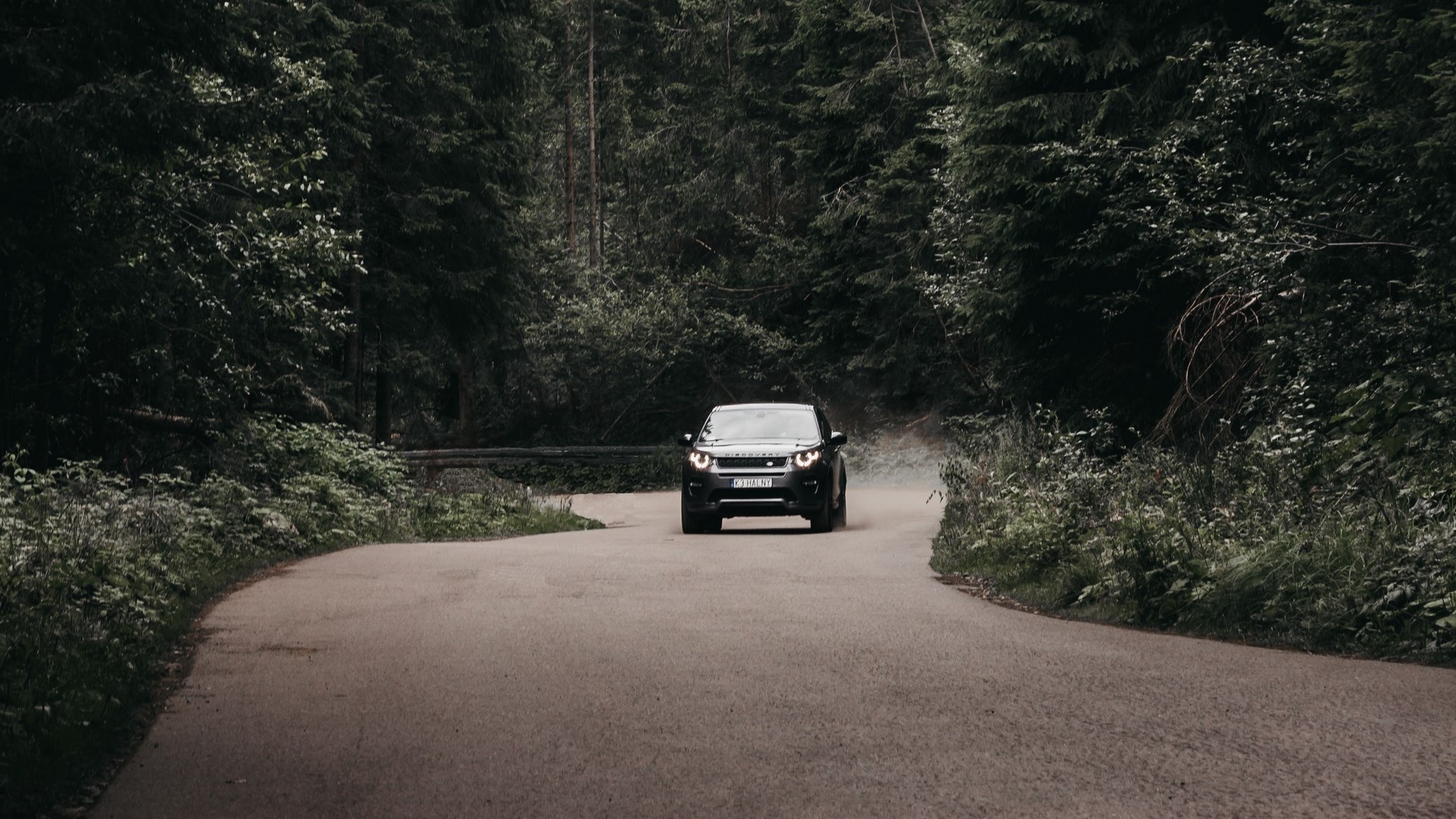 Black Land Rover Discovery Sport driving on forest road HD Wallpaper