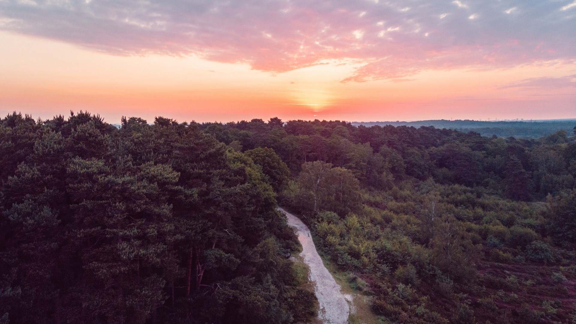 Sunset over a forest with a path HD Wallpaper