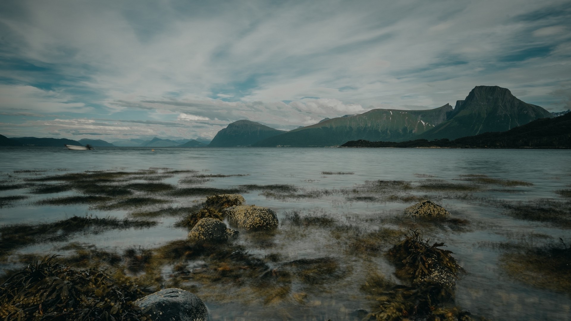 Mountains over a calm lake with seaweed in the foreground HD Wallpaper