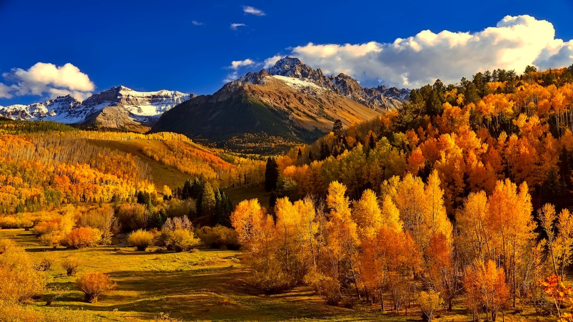 Autumn Mountain Landscape with Golden Aspen Trees HD Wallpaper
