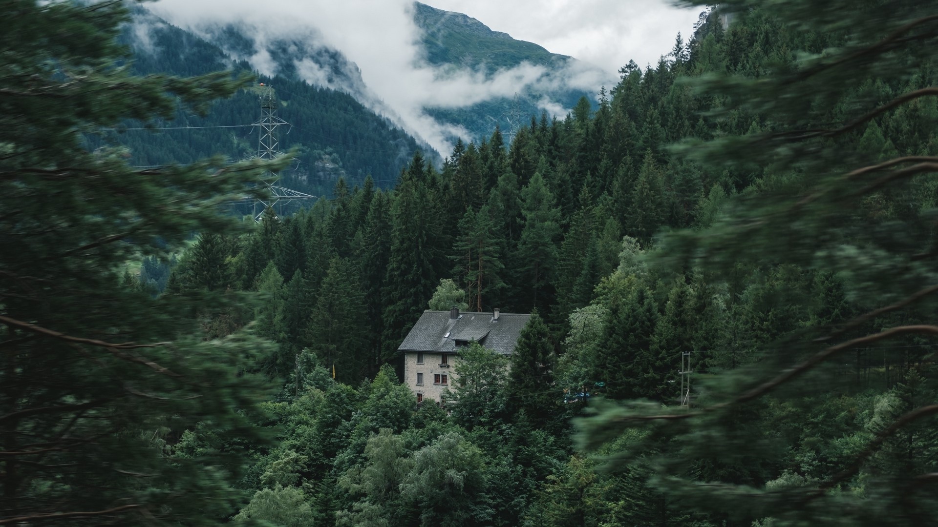 House in a dense forest with mountains HD Wallpaper