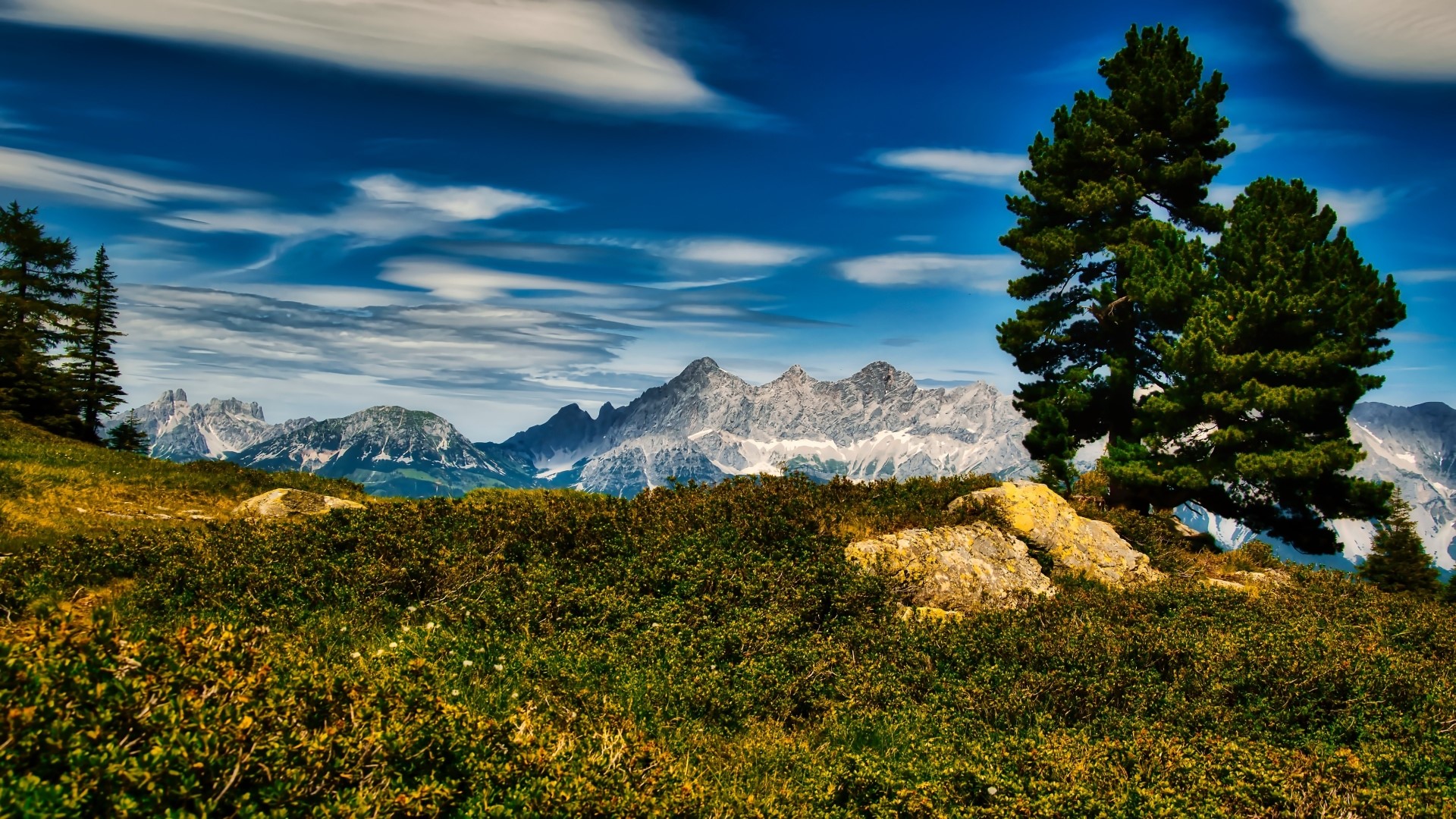 Mountain range with pine trees and rocky foreground HD Wallpaper