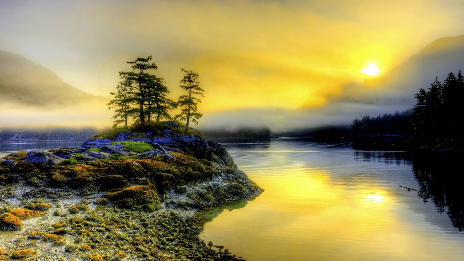 Misty morning landscape with sunlit water and trees HD Wallpaper