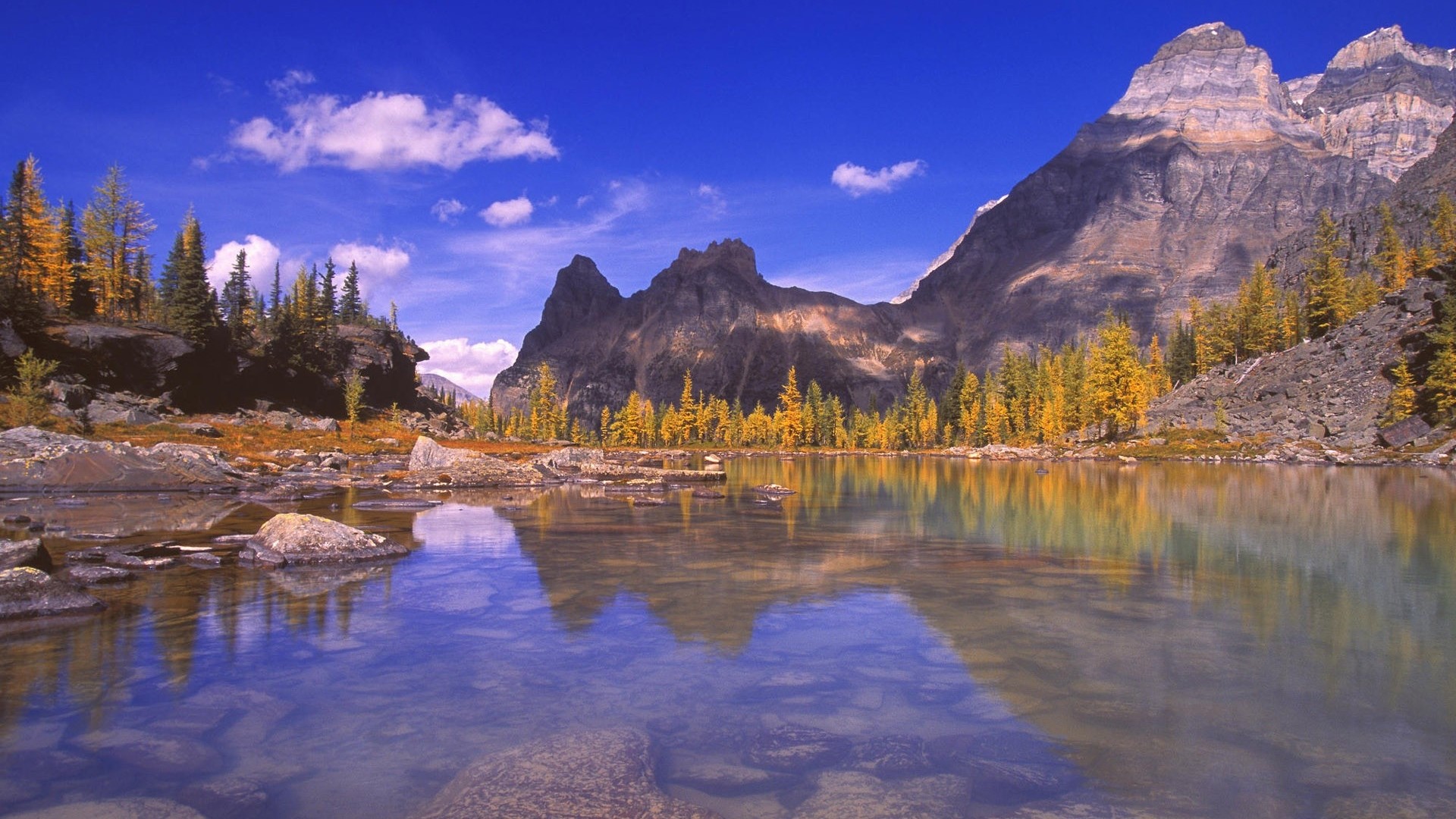 Mountain lake with autumn trees and blue sky HD Wallpaper