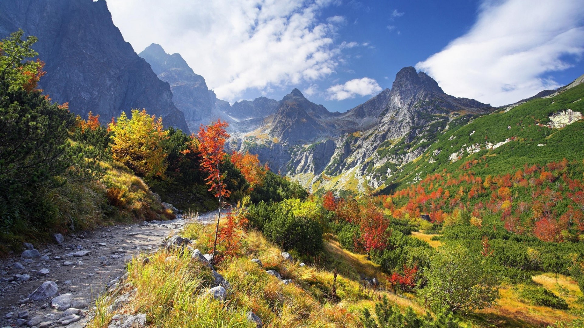 Mountain path with autumn trees and rocky peaks HD Wallpaper