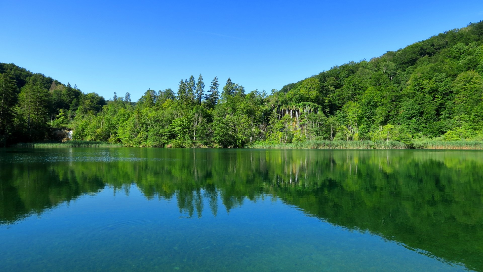 Lake and forest with waterfalls HD Wallpaper