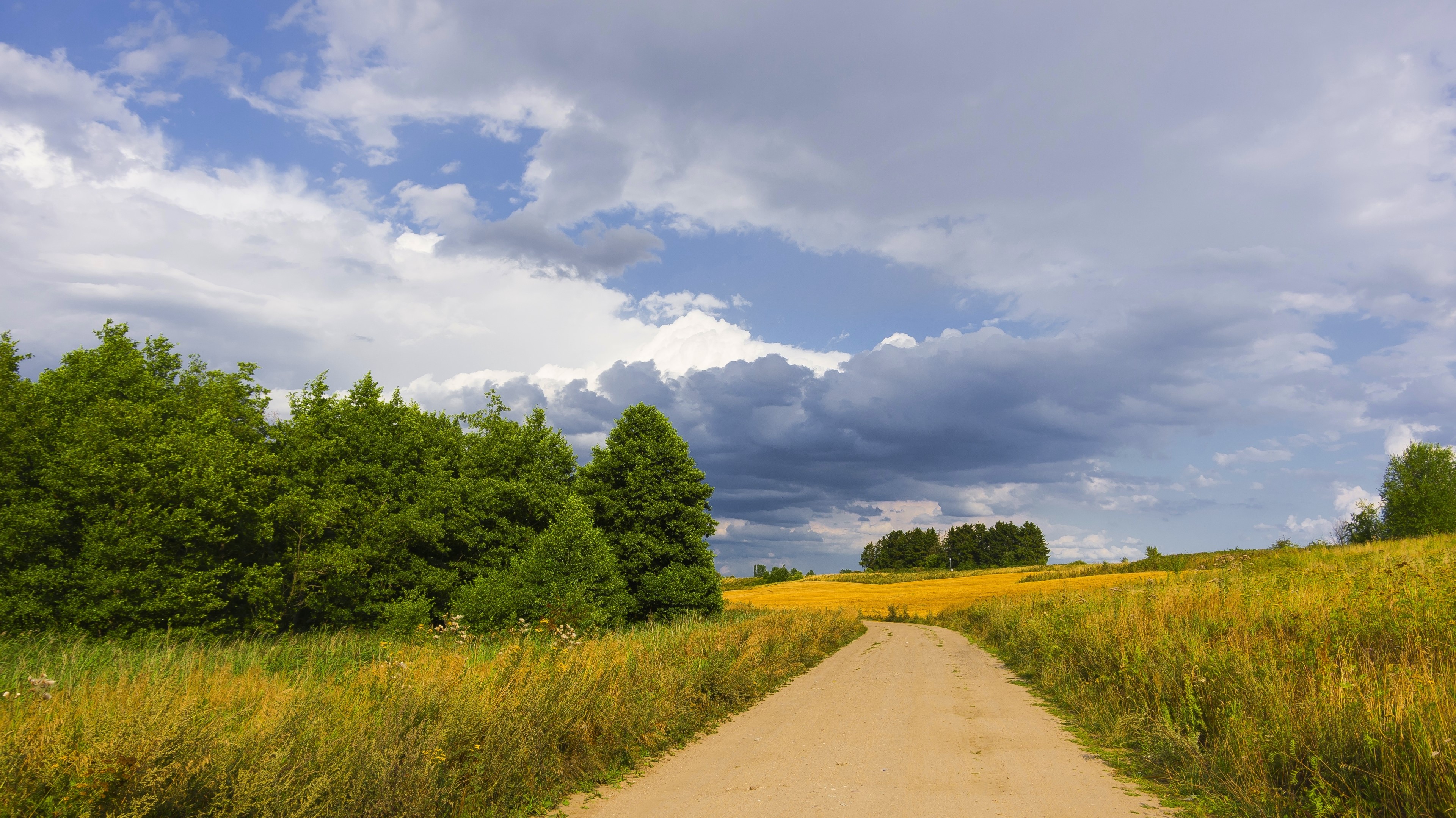 4K Country road with trees and fields HD Wallpaper