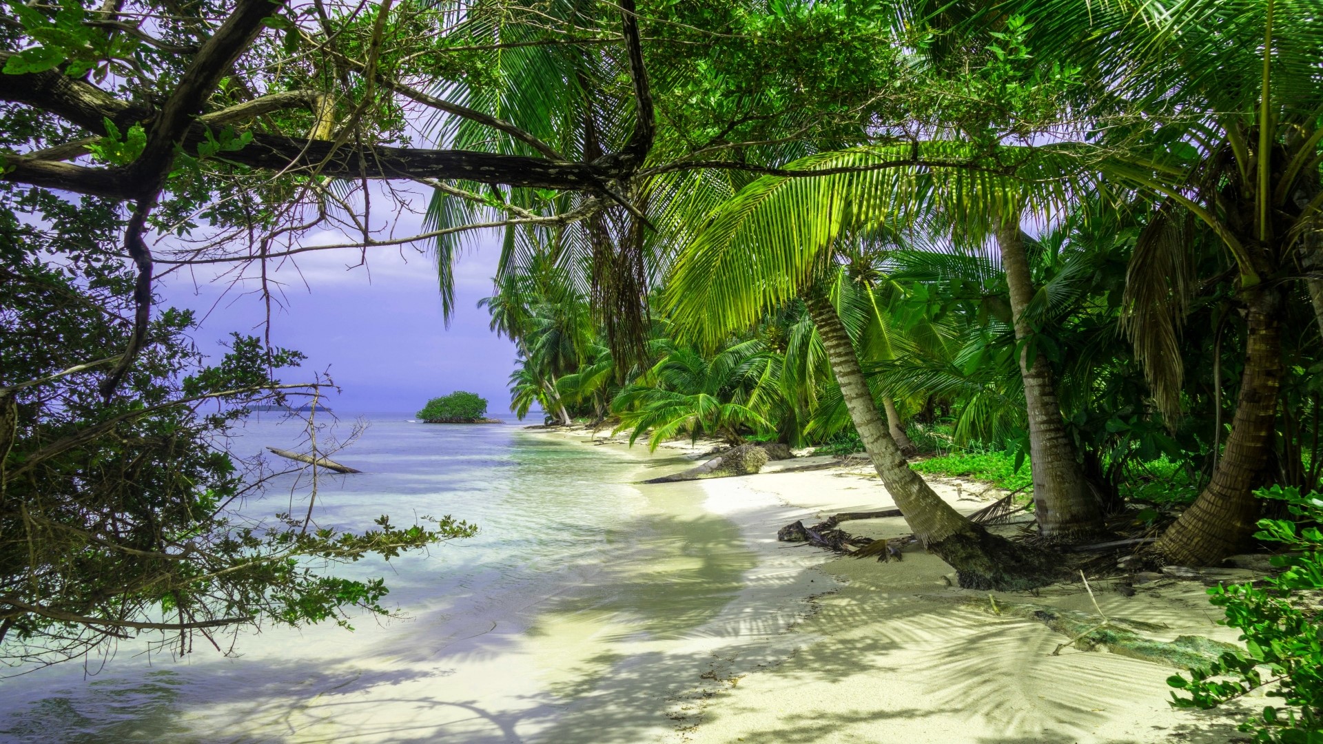 Tropical beach with palm trees and ocean in Panama HD Wallpaper