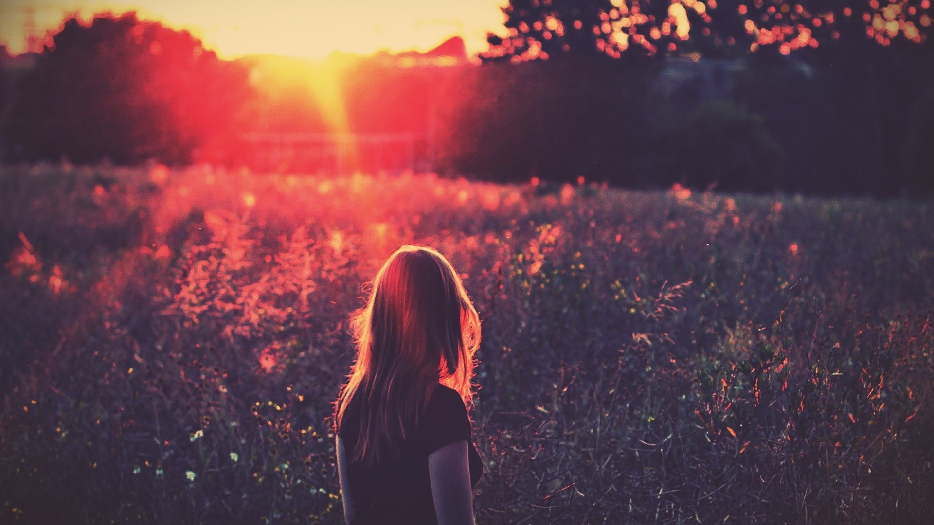 Girl in a field at sunset HD Wallpaper