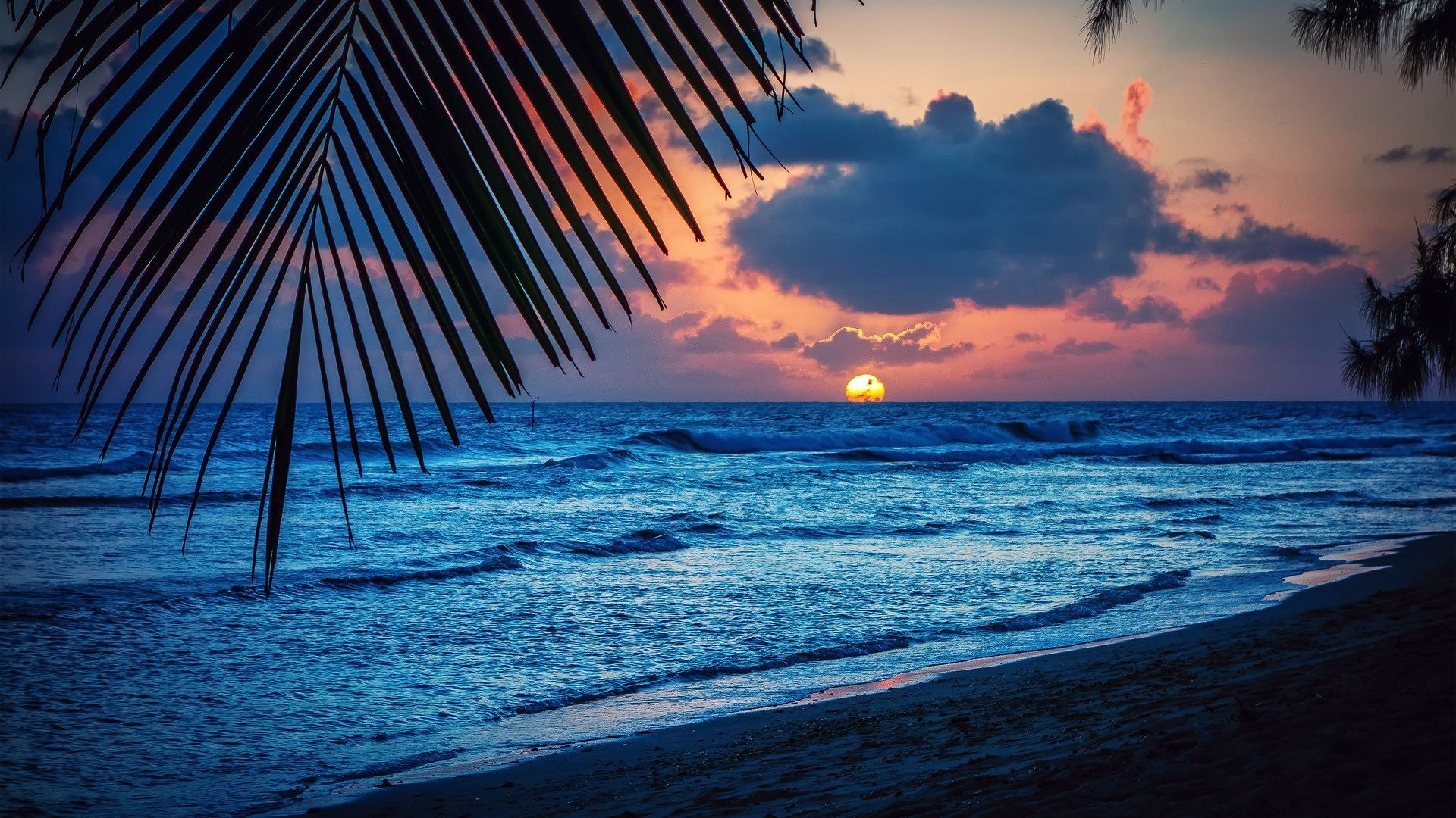 Sunset over the Caribbean Sea with Palm Fronds HD Wallpaper