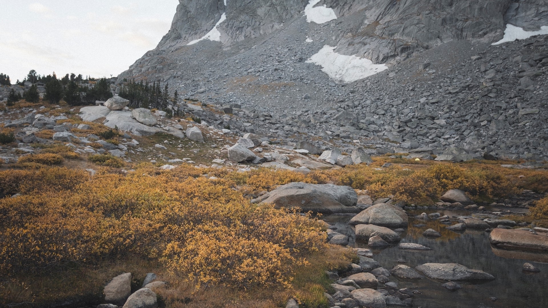 Rocky mountain landscape with yellow bushes and a stream HD Wallpaper