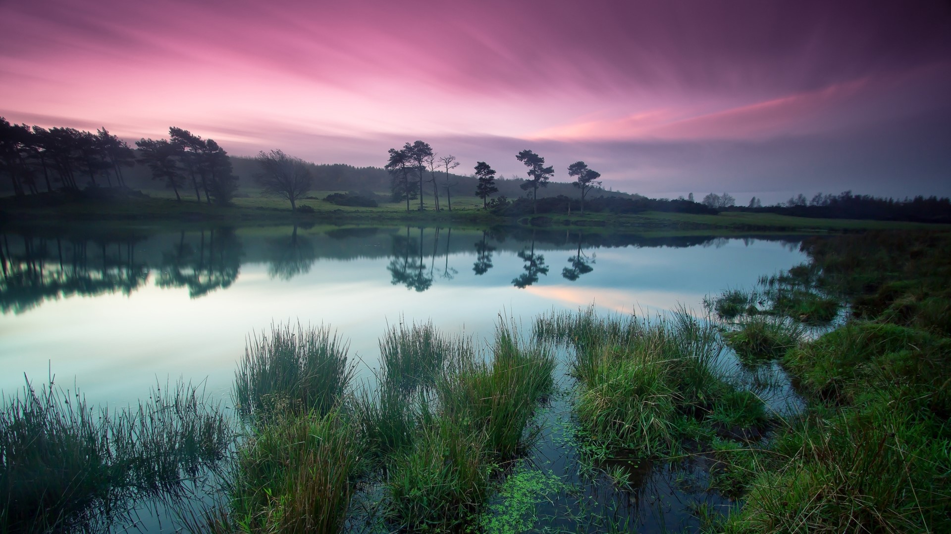 Pink sky over lake with trees and grass HD Wallpaper