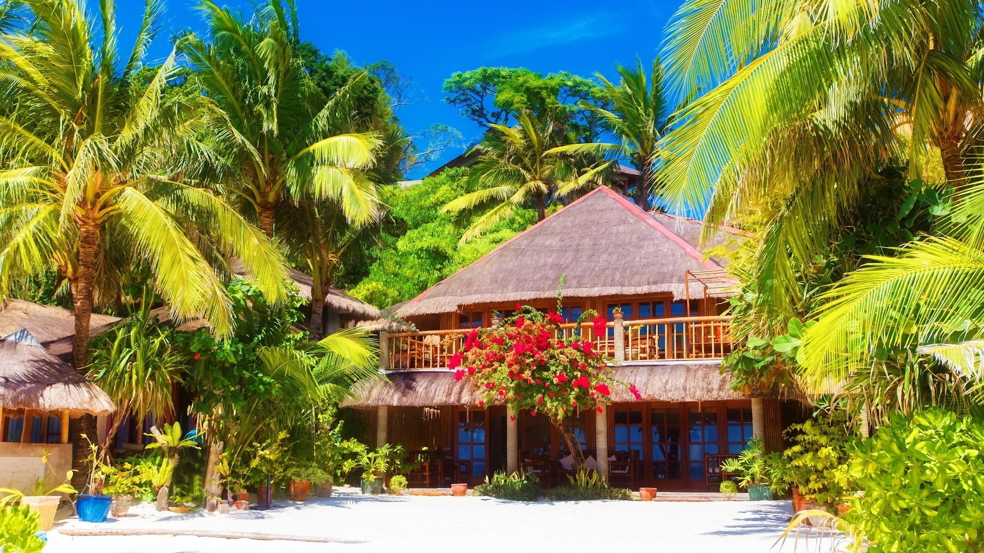 Tropical resort with palm trees and thatched roofs HD Wallpaper