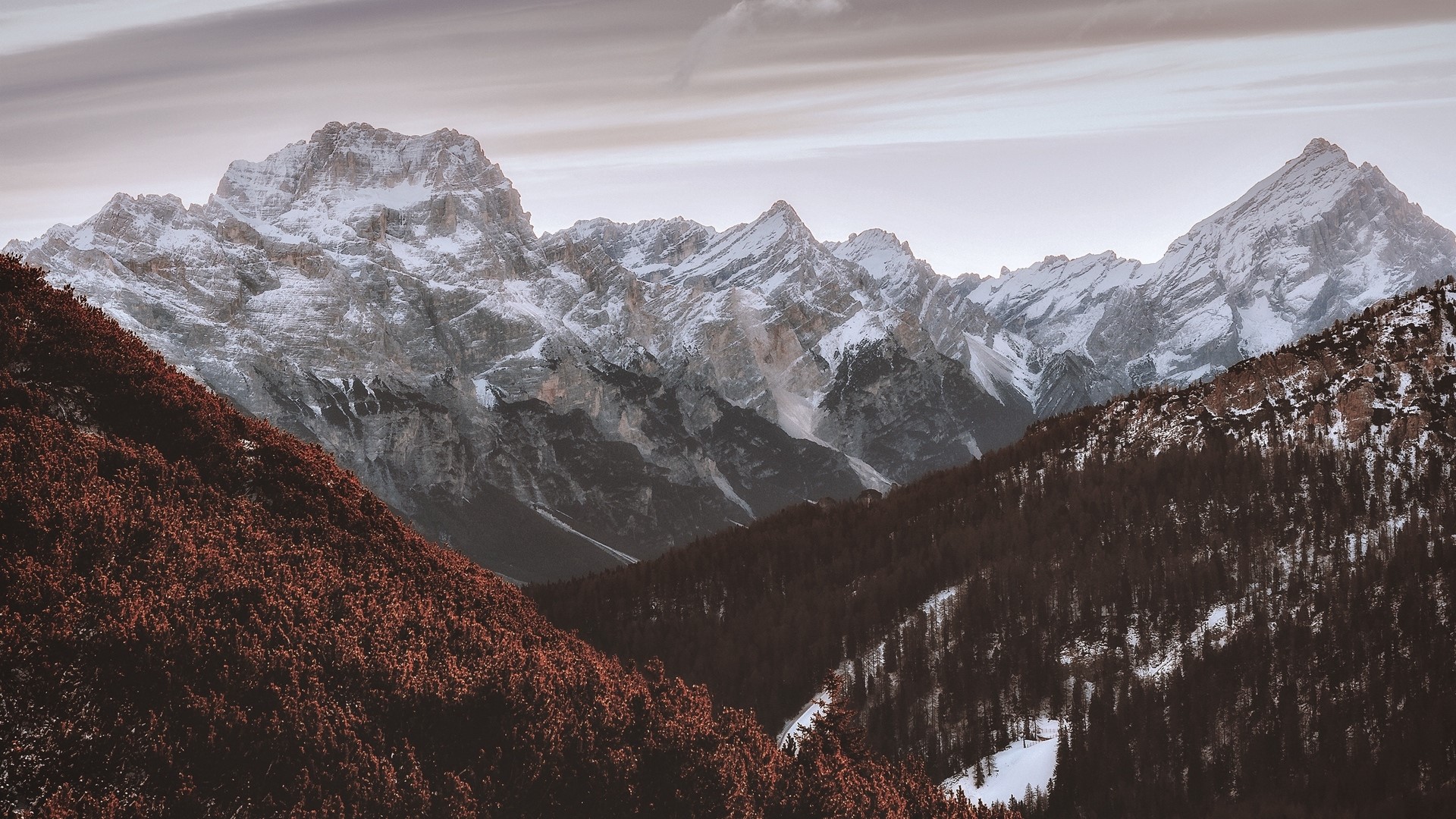 Snowy mountain range with red foliage in foreground HD Wallpaper