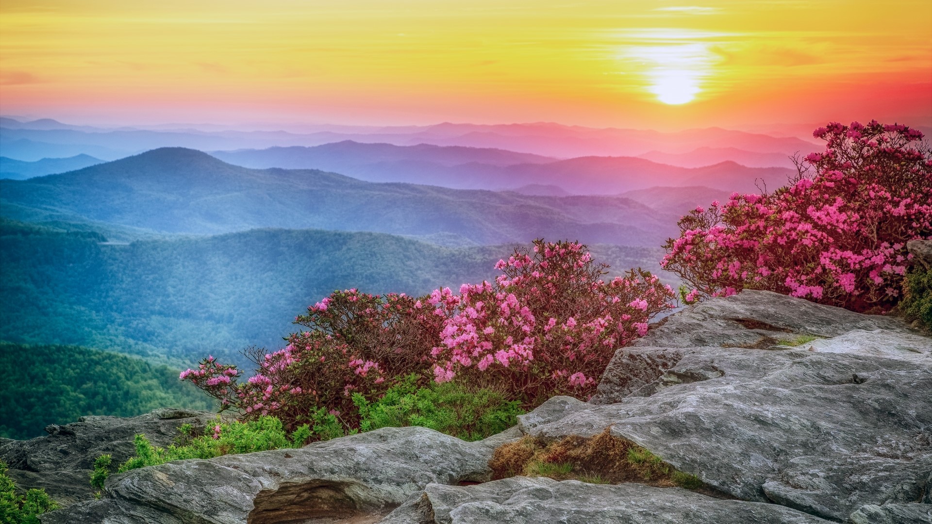 Sunrise over Blue Ridge Mountains, North Carolina HD Wallpaper