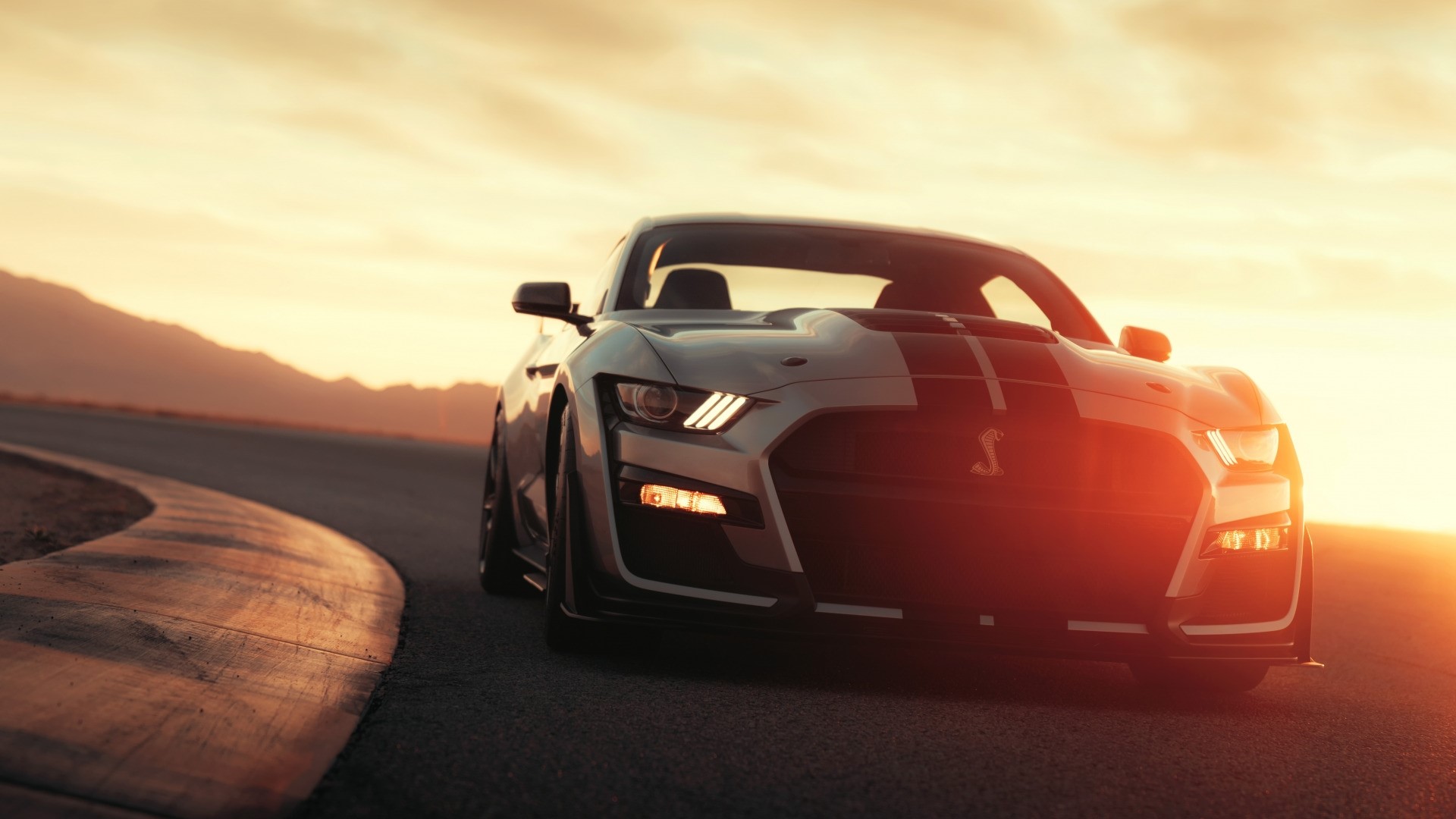 Ford Mustang Shelby GT500 on a race track at sunset HD Wallpaper