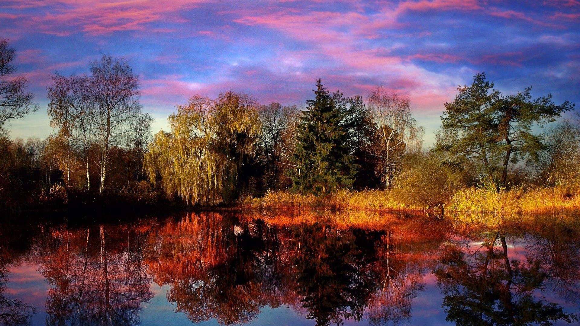 Autumn trees reflected in a lake at sunset HD Wallpaper