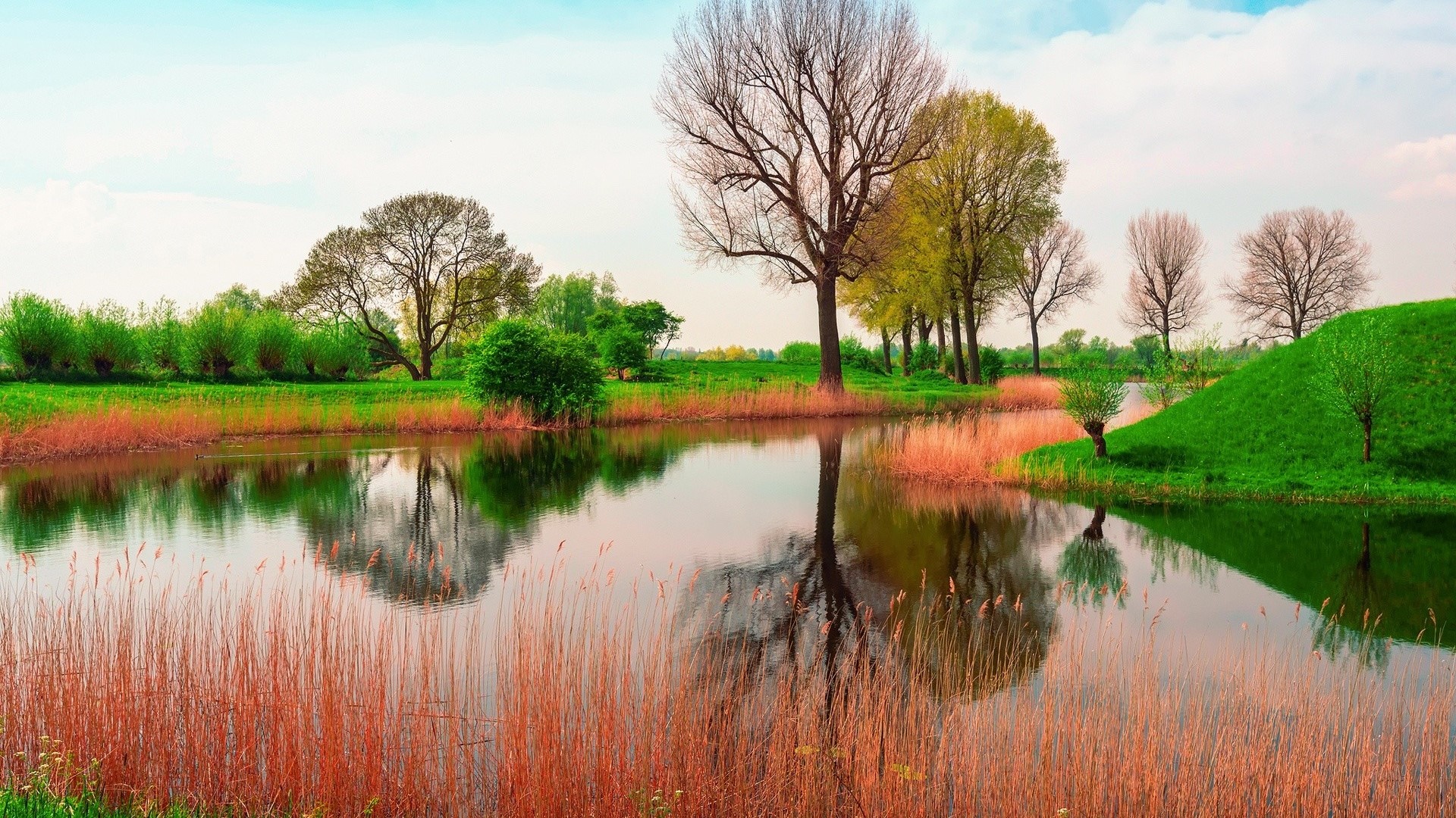 Spring landscape with river and trees HD Wallpaper
