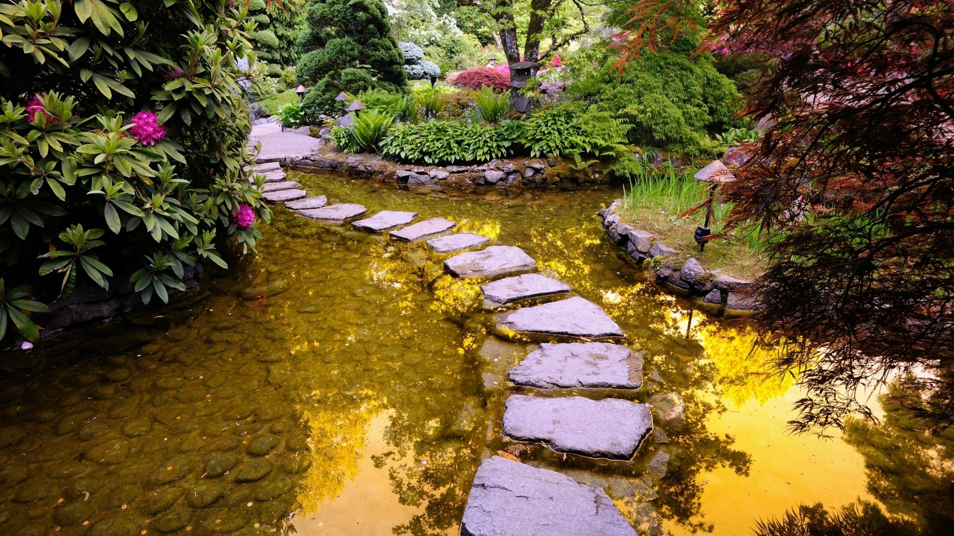 Stone path across a pond in a Japanese garden HD Wallpaper