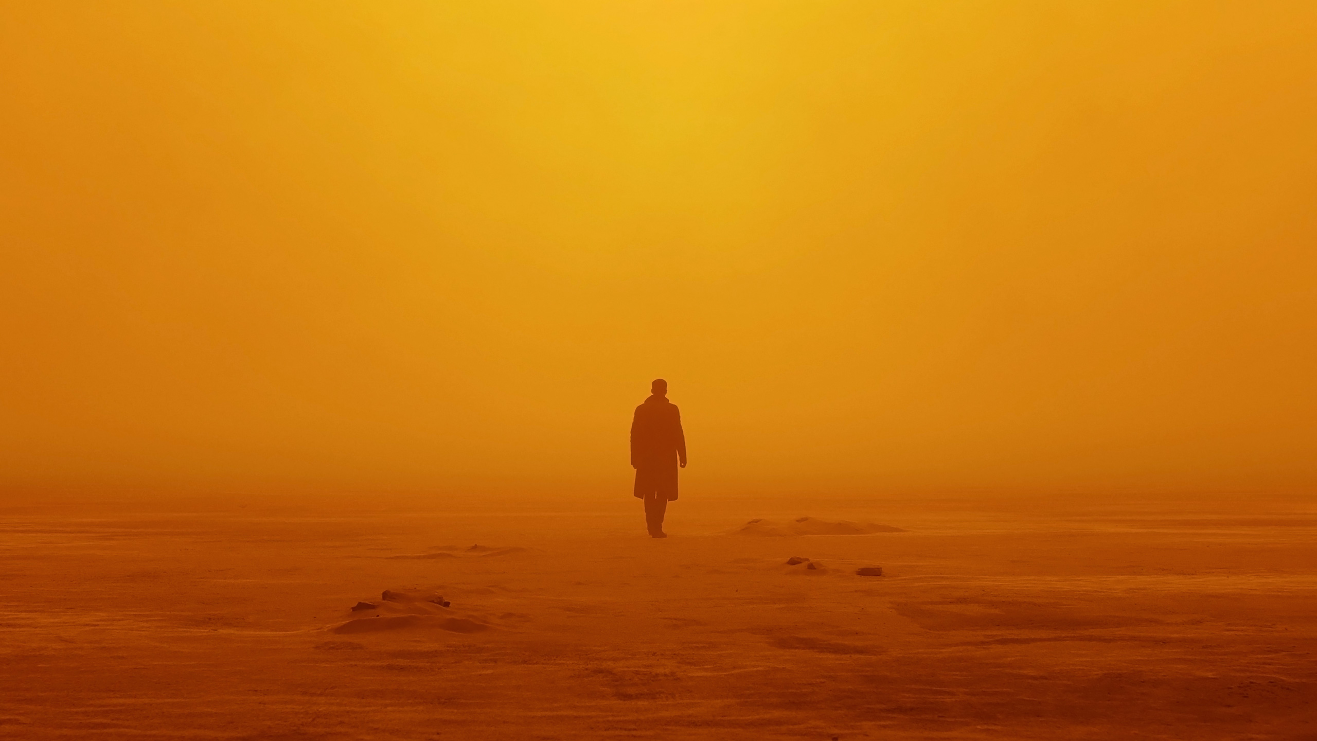 Officer K from Blade Runner 2049 HD Wallpaper