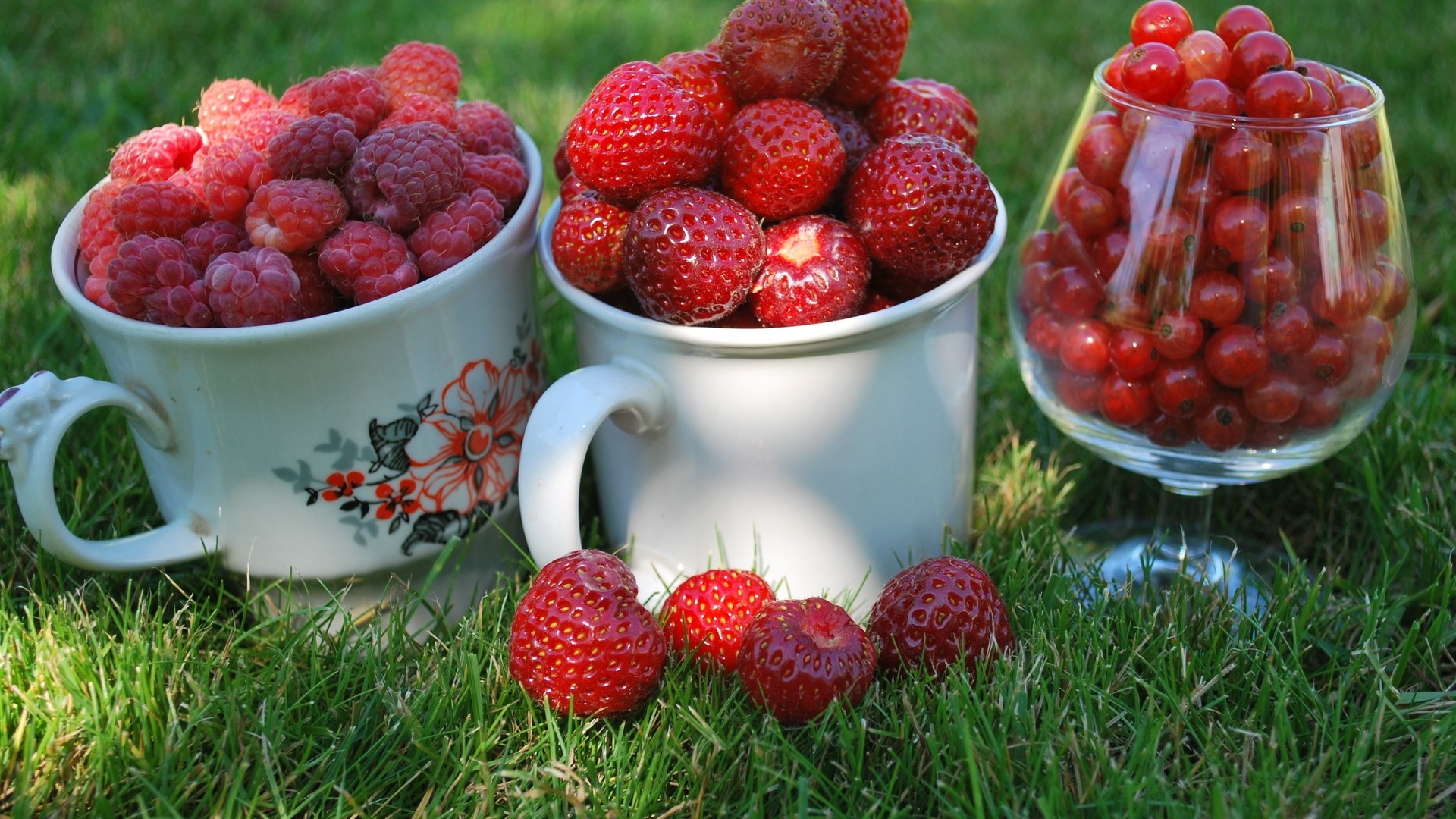 Berries in cups and glass on grass HD Wallpaper