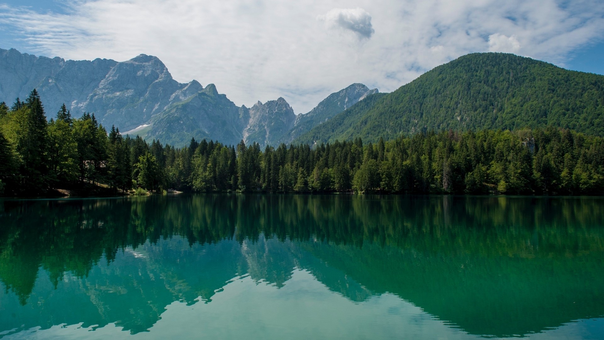 Lake with Forest and Mountains HD Wallpaper