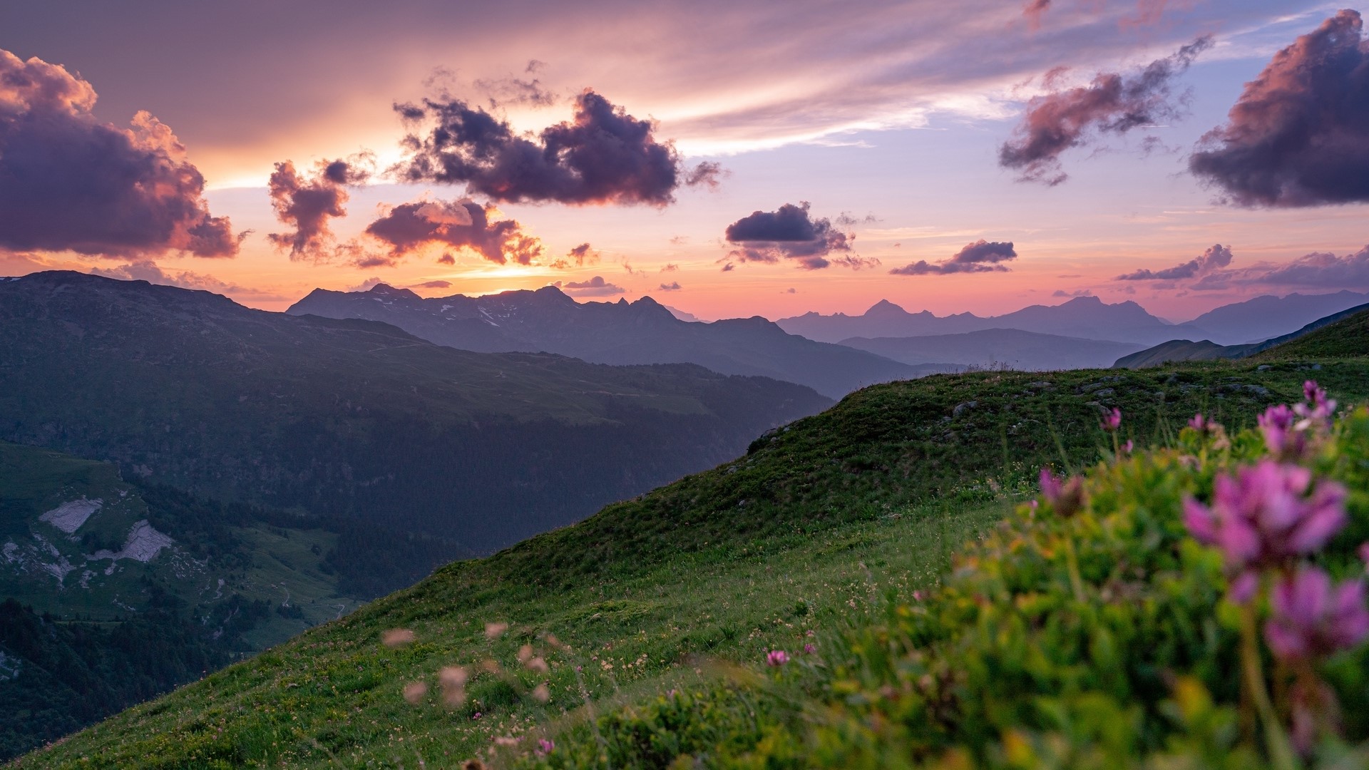 Mountain landscape at sunset with flowers HD Wallpaper
