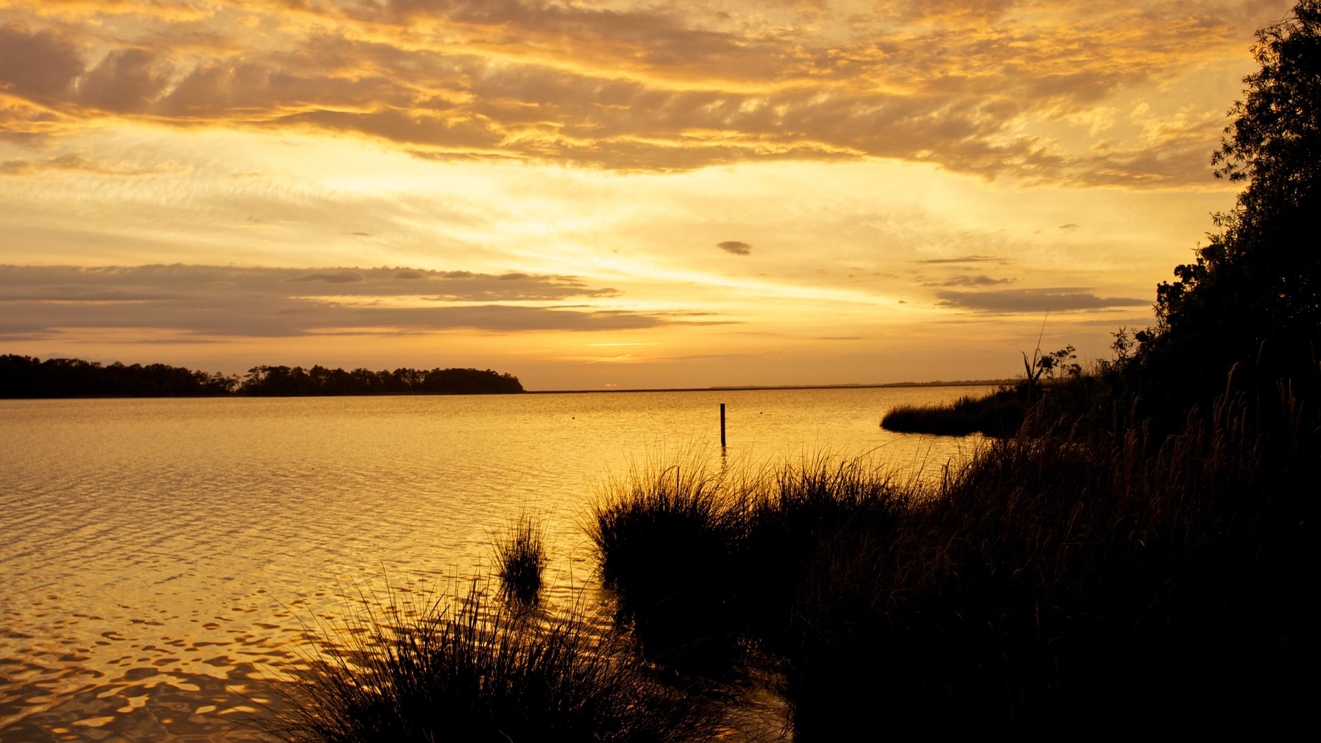 Sunset over a calm body of water with silhouetted reeds HD Wallpaper