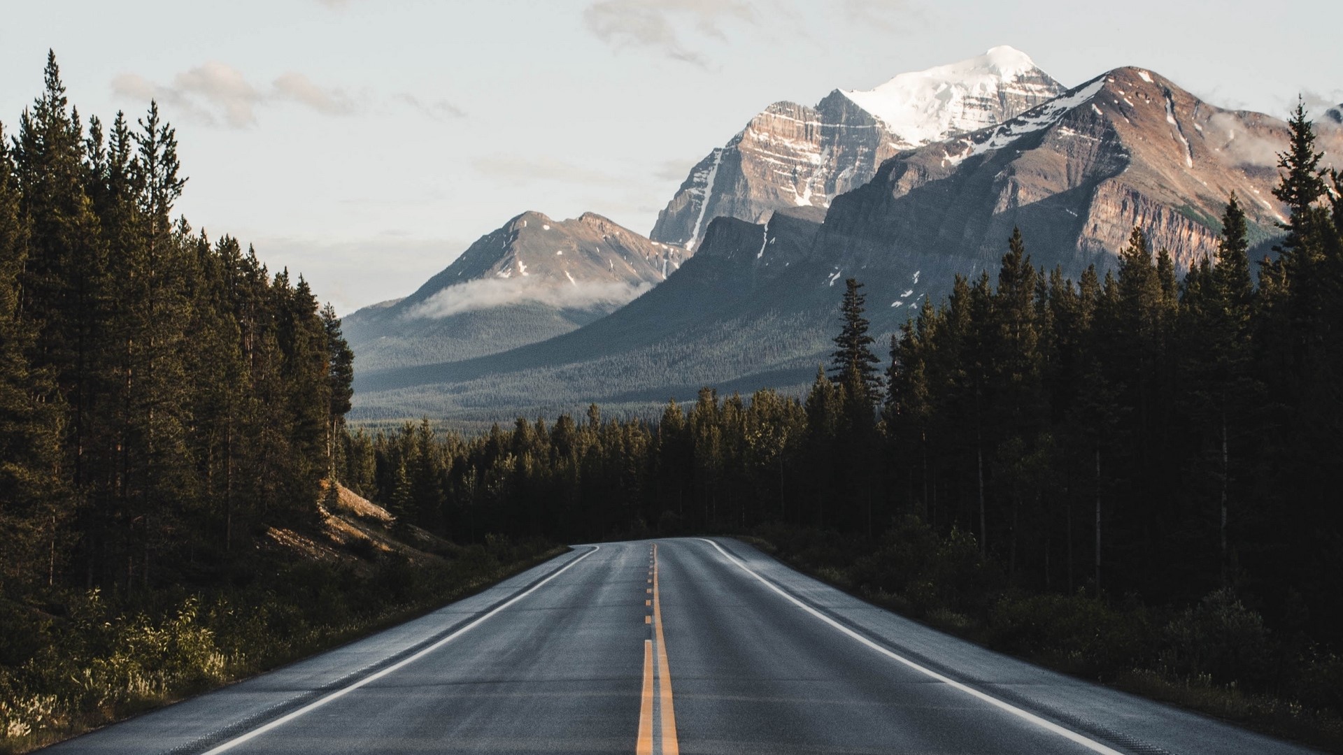 Road through a forest towards snow-capped mountains HD Wallpaper