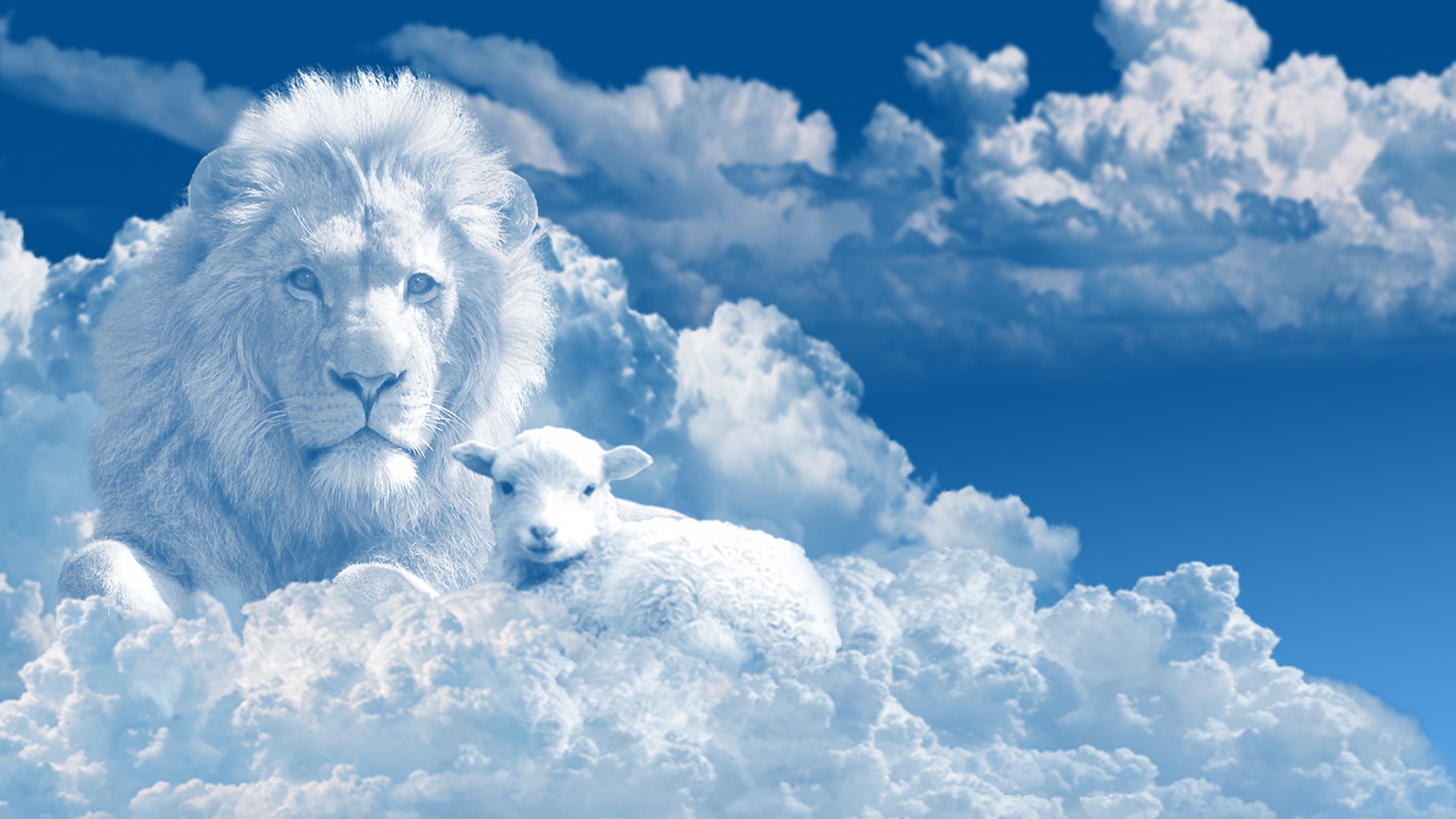Lion and Lamb in the Clouds HD Wallpaper