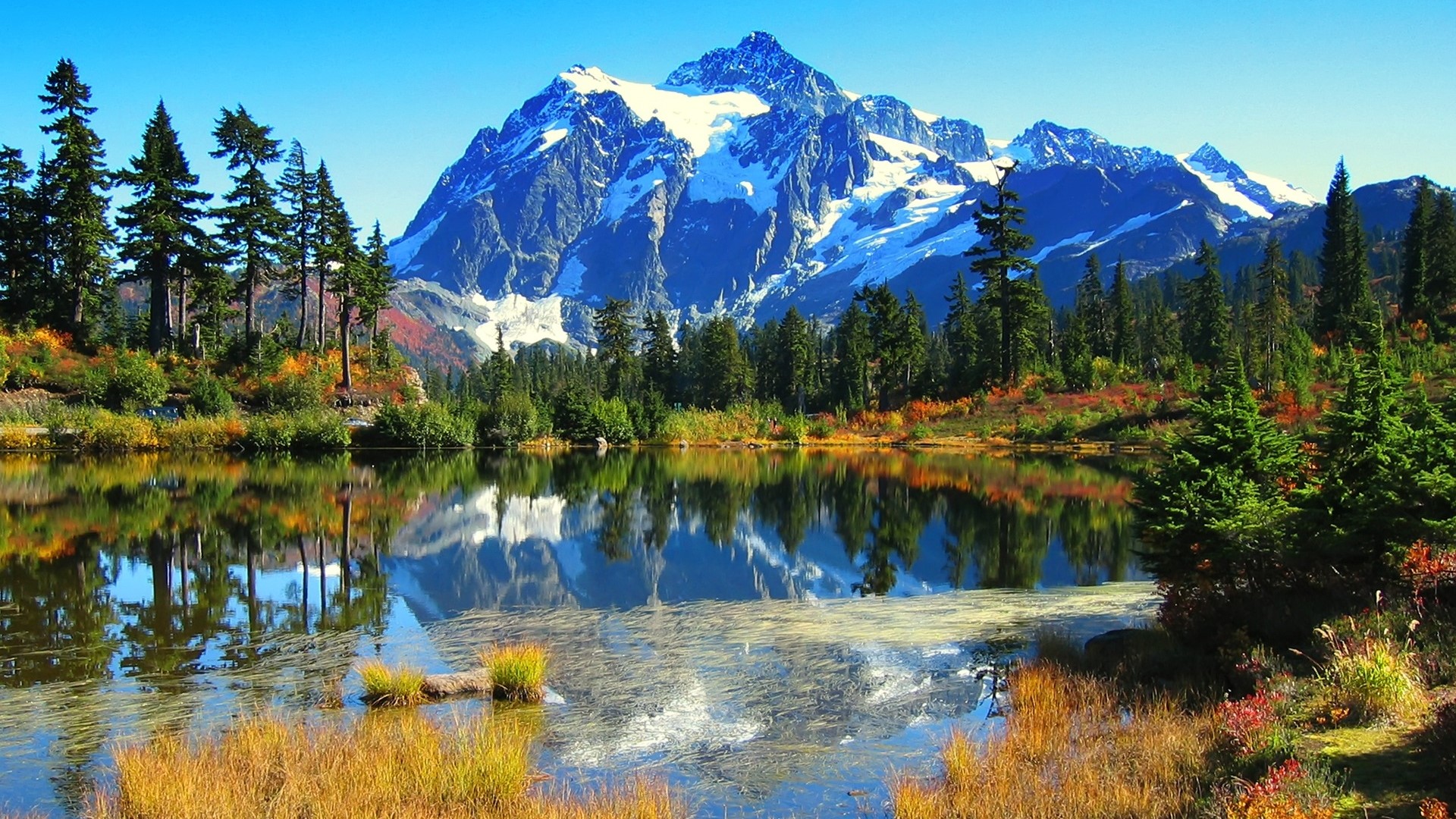 Snow-capped mountains reflected in a lake with pine trees HD Wallpaper