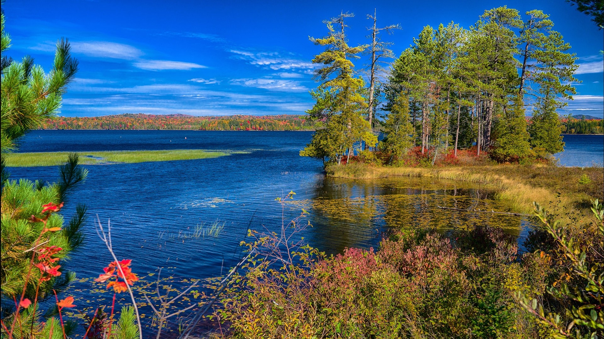 Autumn lake with trees and colorful foliage HD Wallpaper