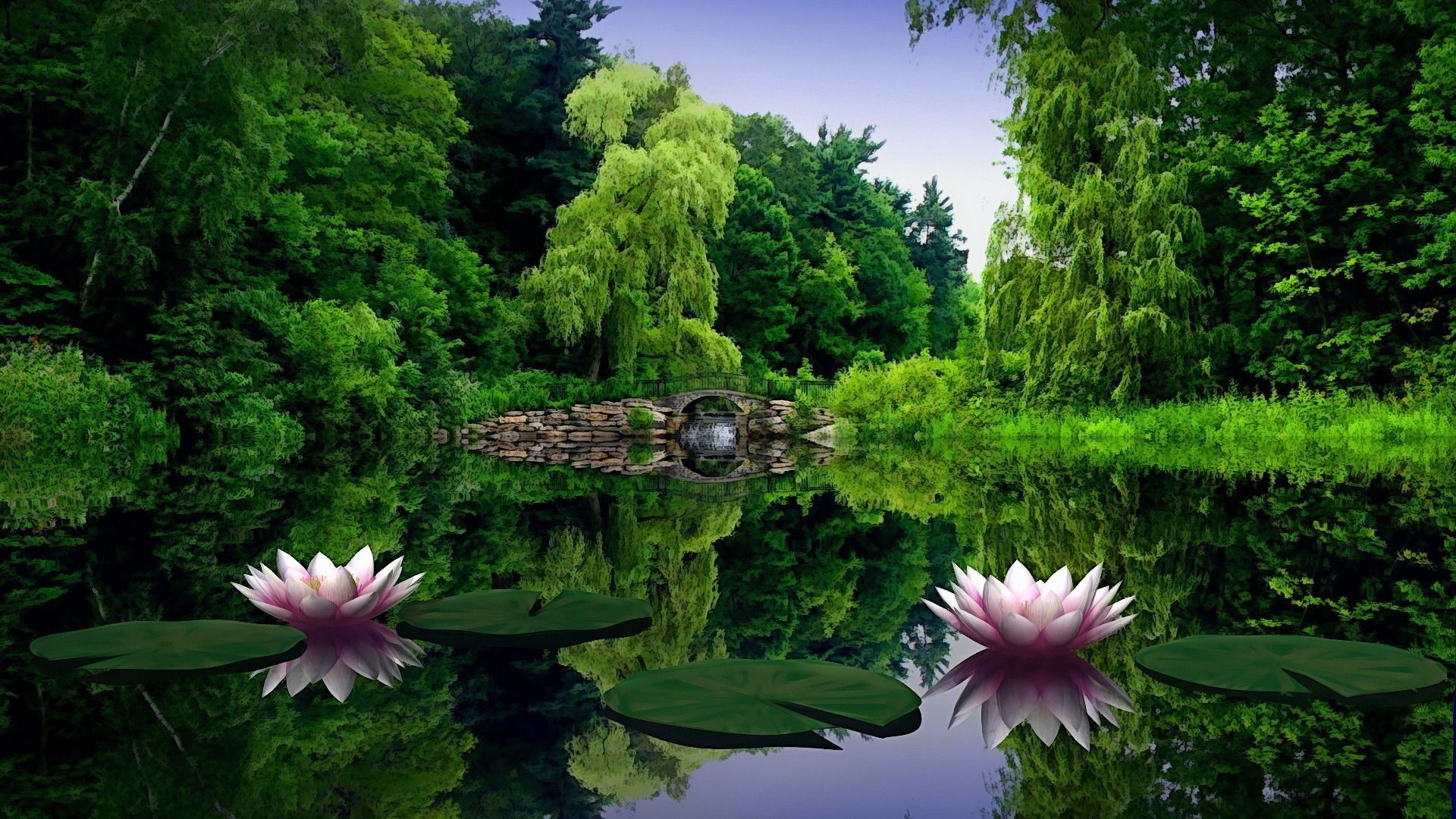 Water lilies bloom in a tranquil pond with a stone bridge HD Wallpaper