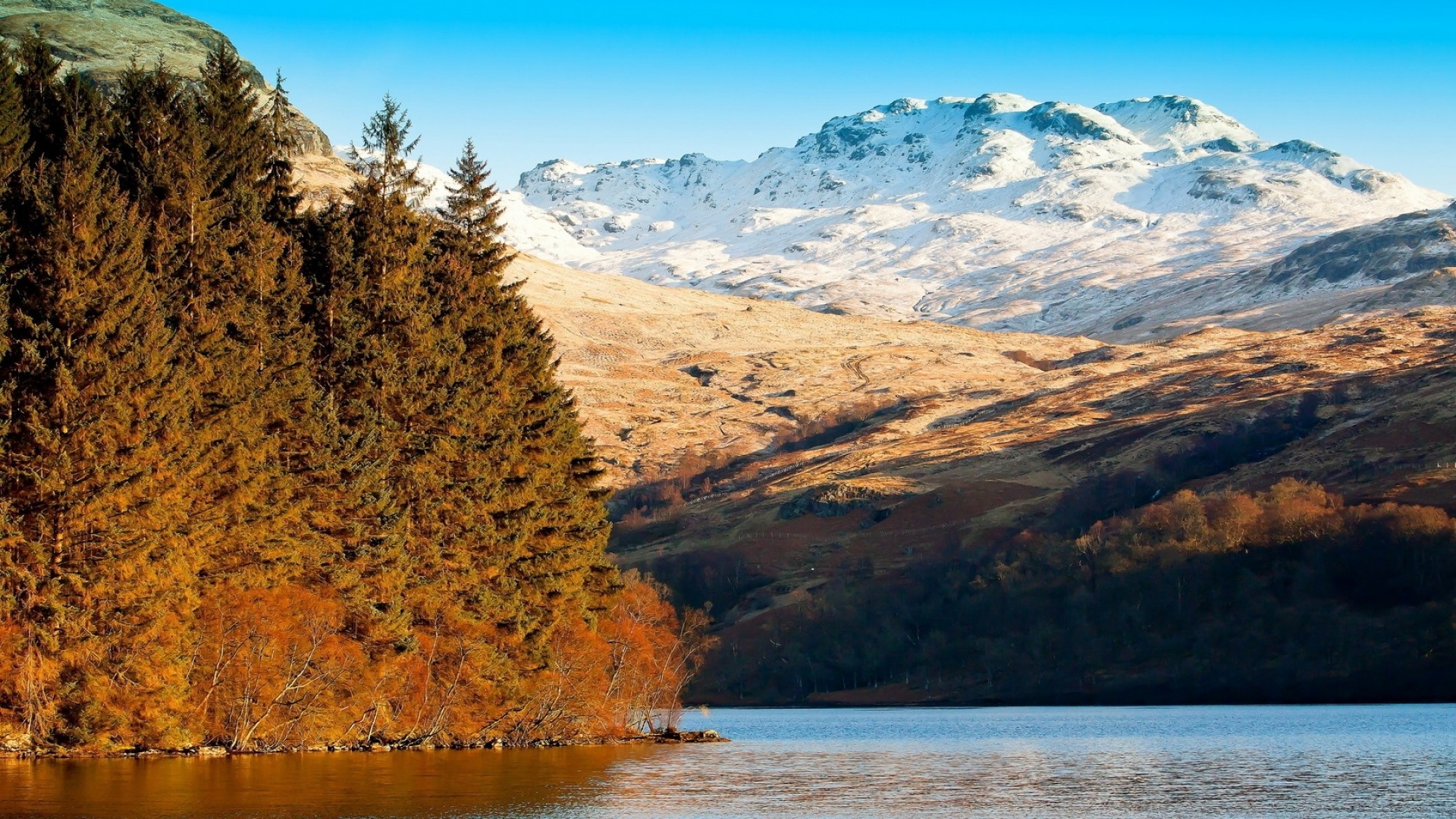 Snowy mountains by a lake with pine trees HD Wallpaper