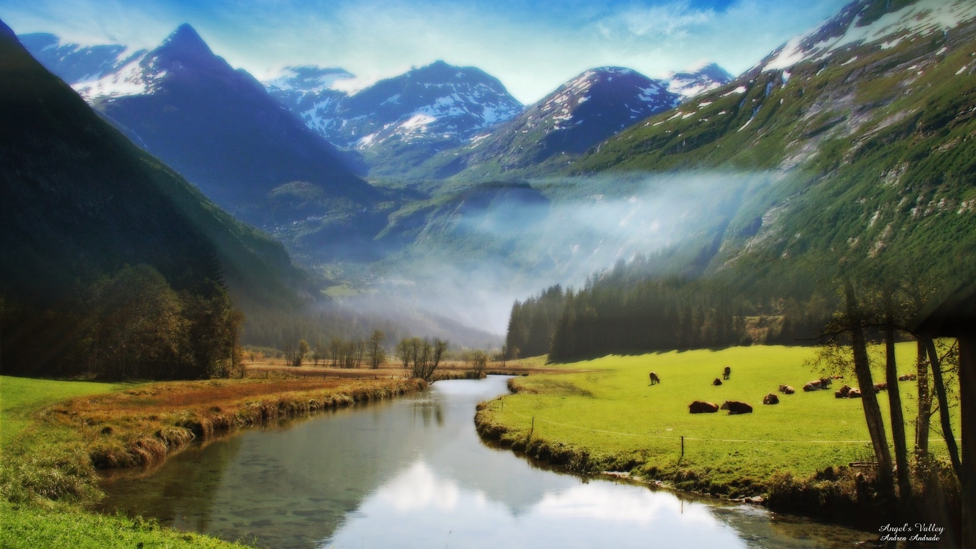 Pasture in the mountains with a river and cows HD Wallpaper