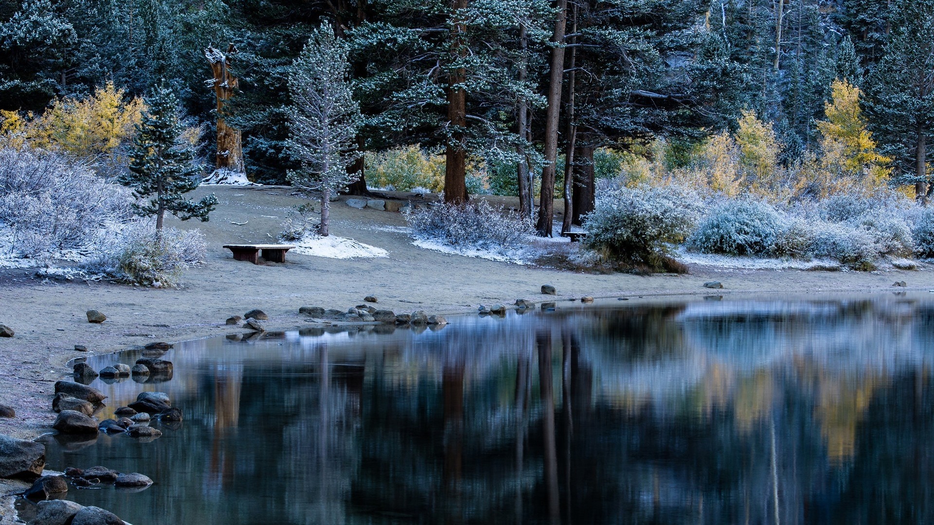 Winter lake with snow-dusted trees and reflection HD Wallpaper