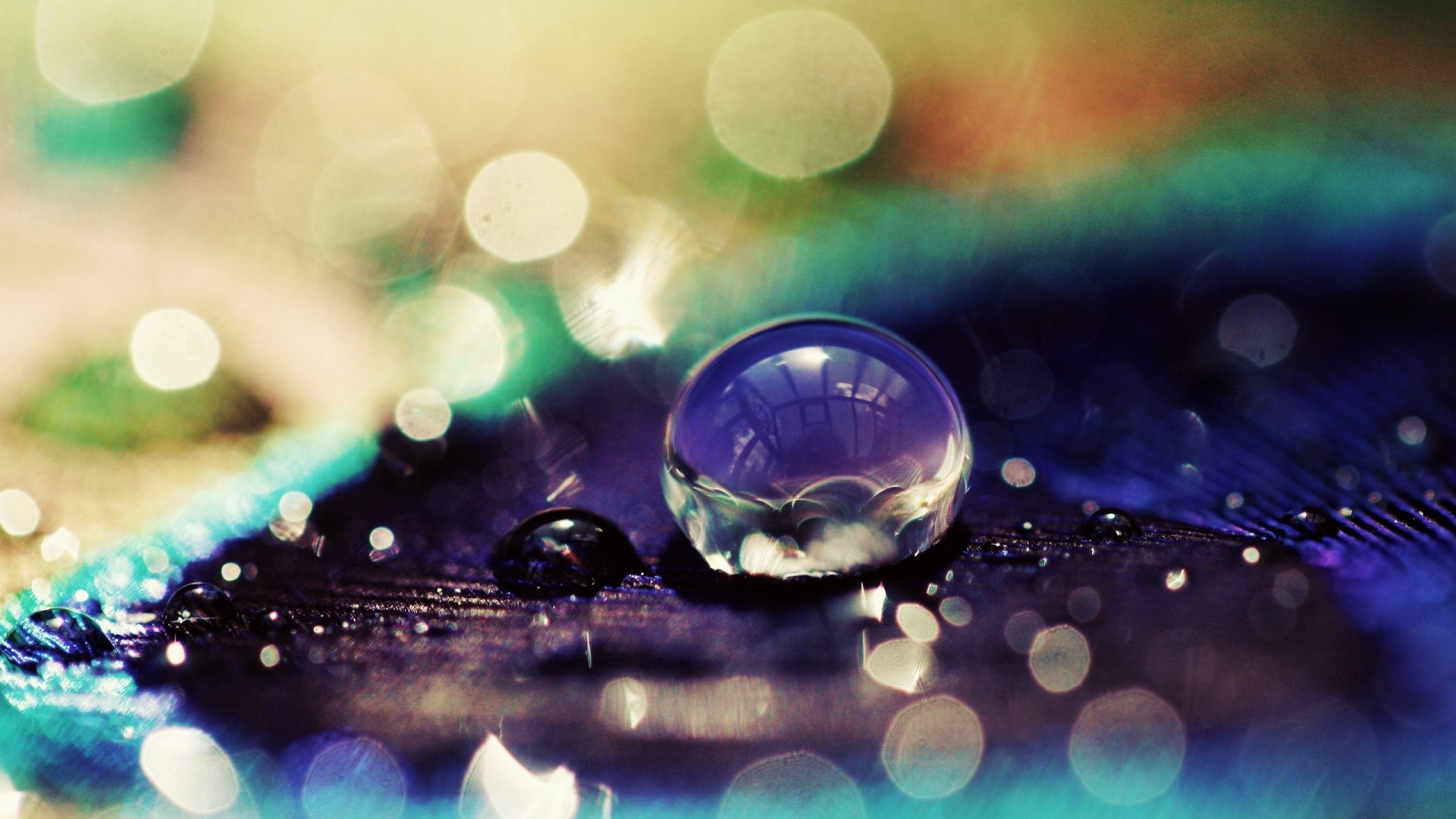 Water droplets on a feather HD Wallpaper