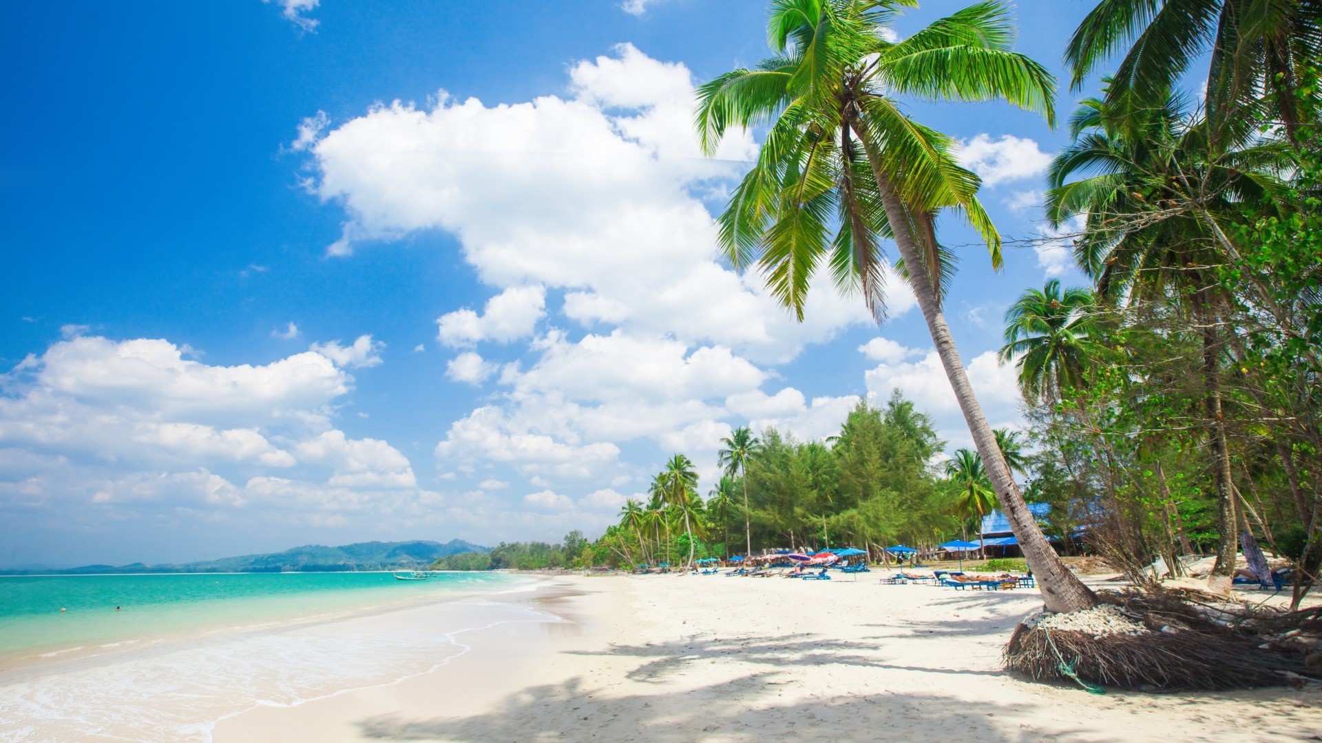 Tropical beach with palm trees and blue sky HD Wallpaper