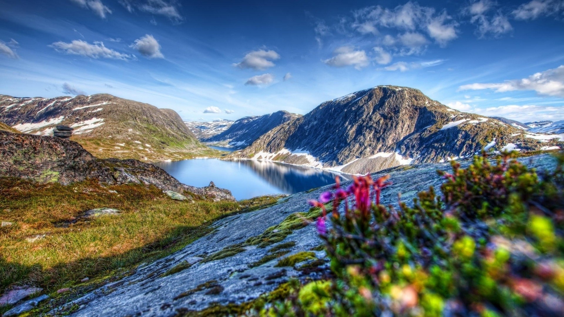 Flowers in front of mountains and lake HD Wallpaper