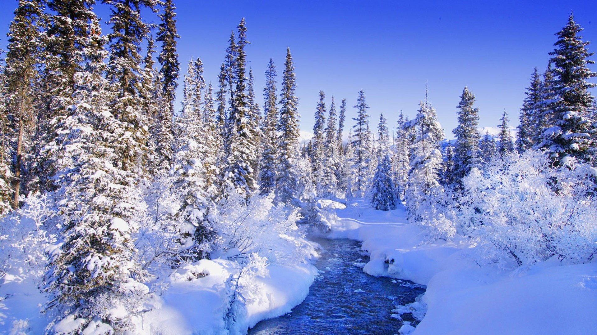 Winter river flowing through a snow-covered forest HD Wallpaper